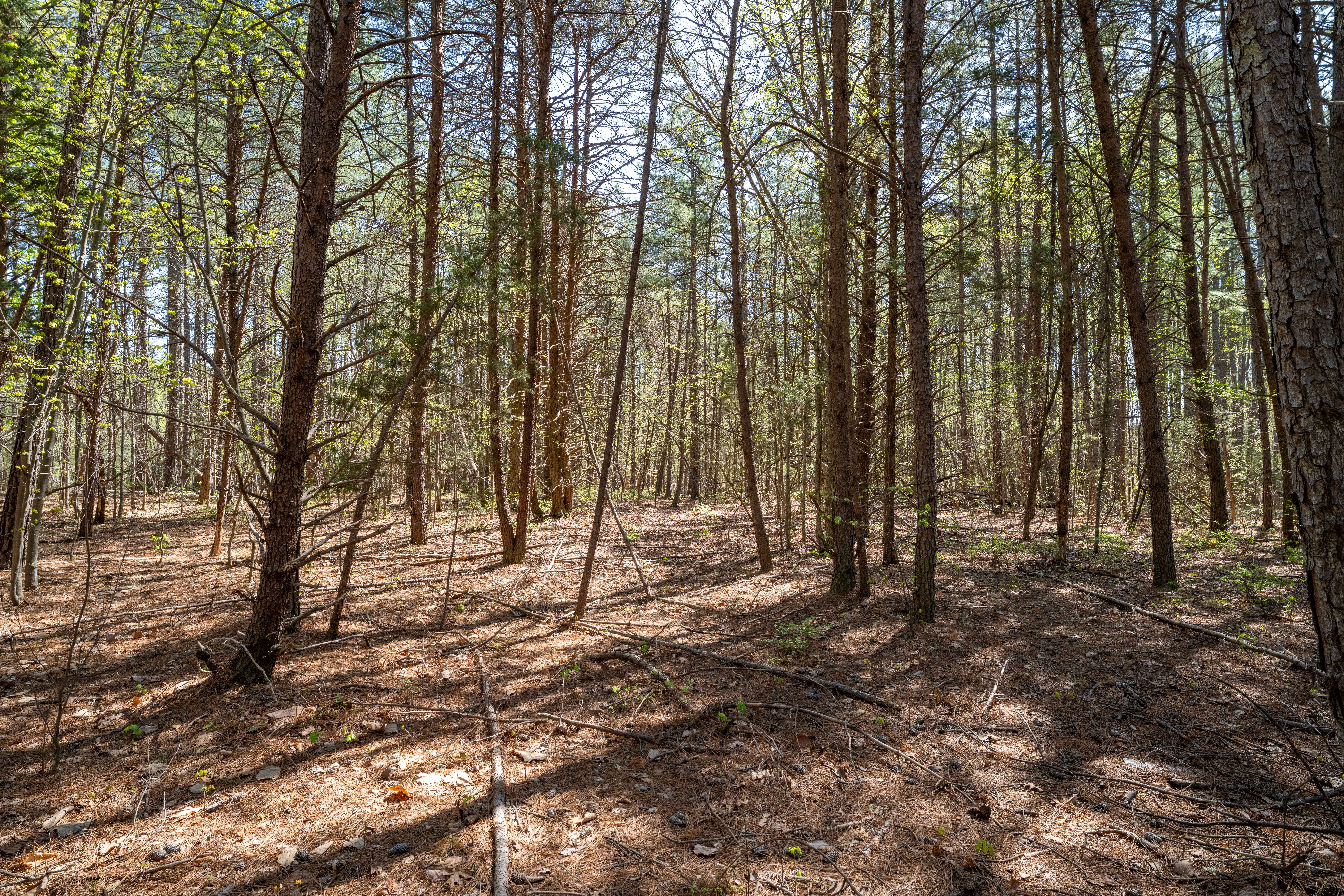  Lot 27 Martin Kings Rd - 物件實景