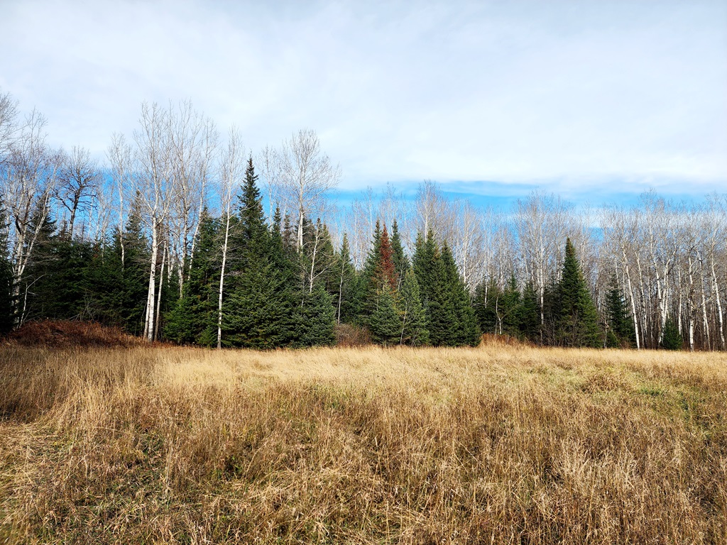 Grand Rapids, Minnesota, 55744, United States, ,Land,For Sale,1983791