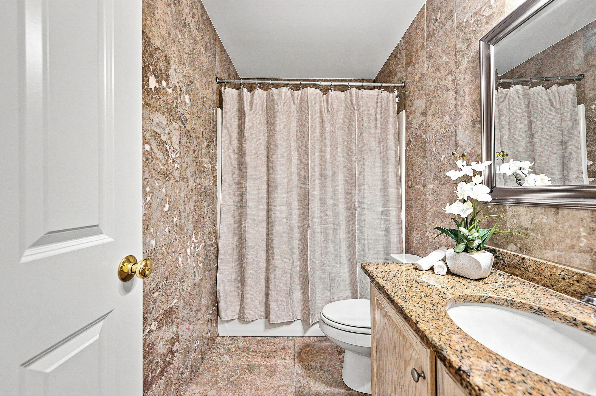  37 Aspen Avenue, Grafton, MA 01560 - 物件實景