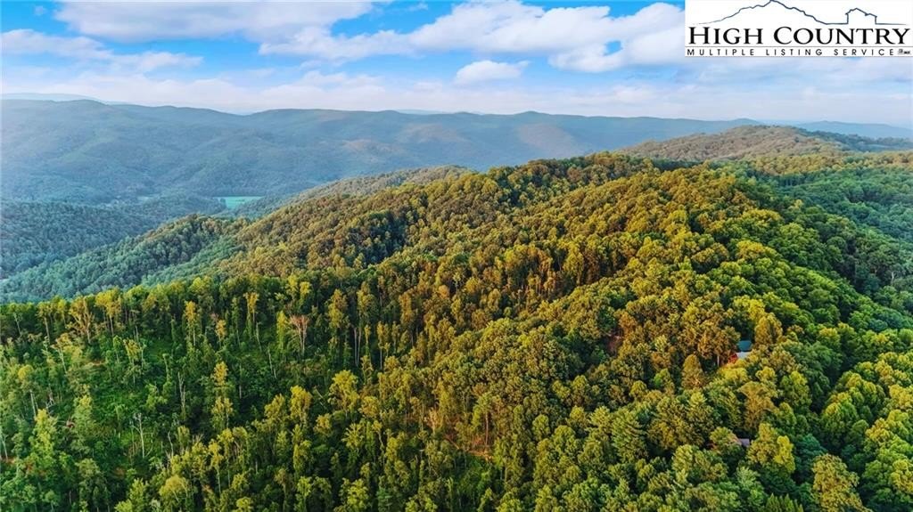 Ferguson, North Carolina, 28624, United States, 3 Bedrooms Bedrooms, ,2 BathroomsBathrooms,Residential,For Sale,1984424