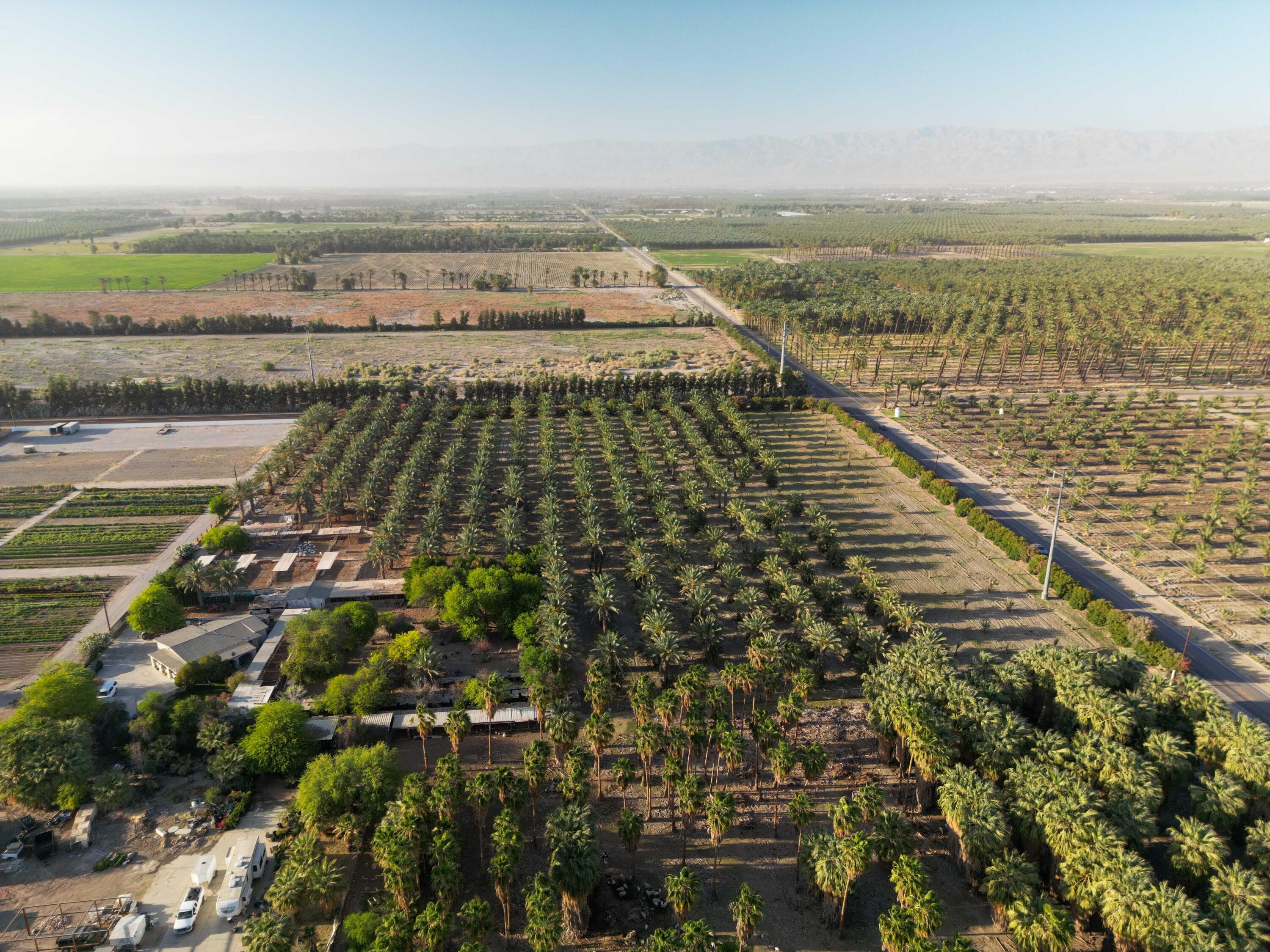 Thermal, California, 92274, United States, ,Land,For Sale,2006588