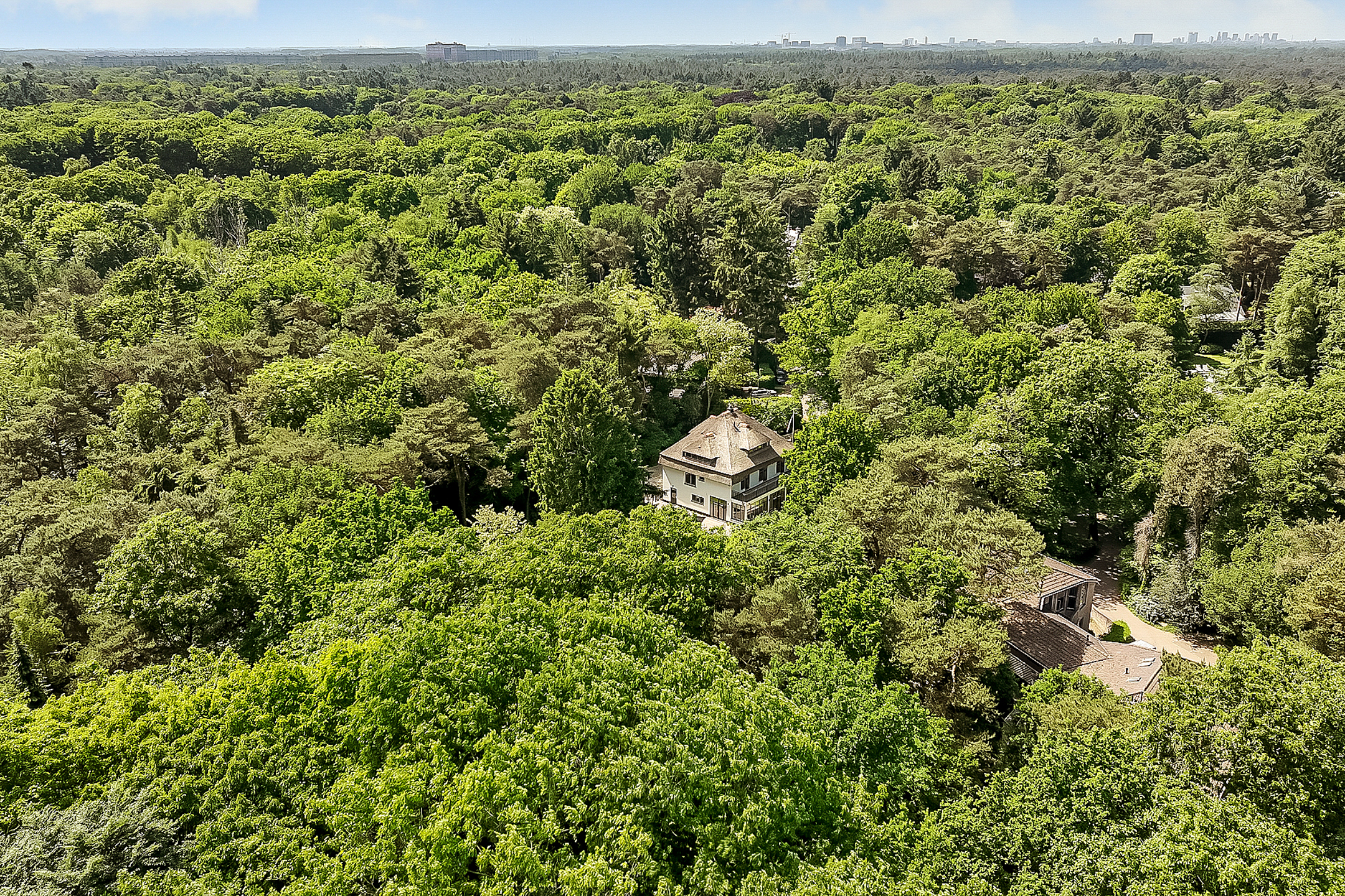  Luxury Detached Villa with Expansive Garden Estate in the Heart of Bosch en Duin - 物件實景