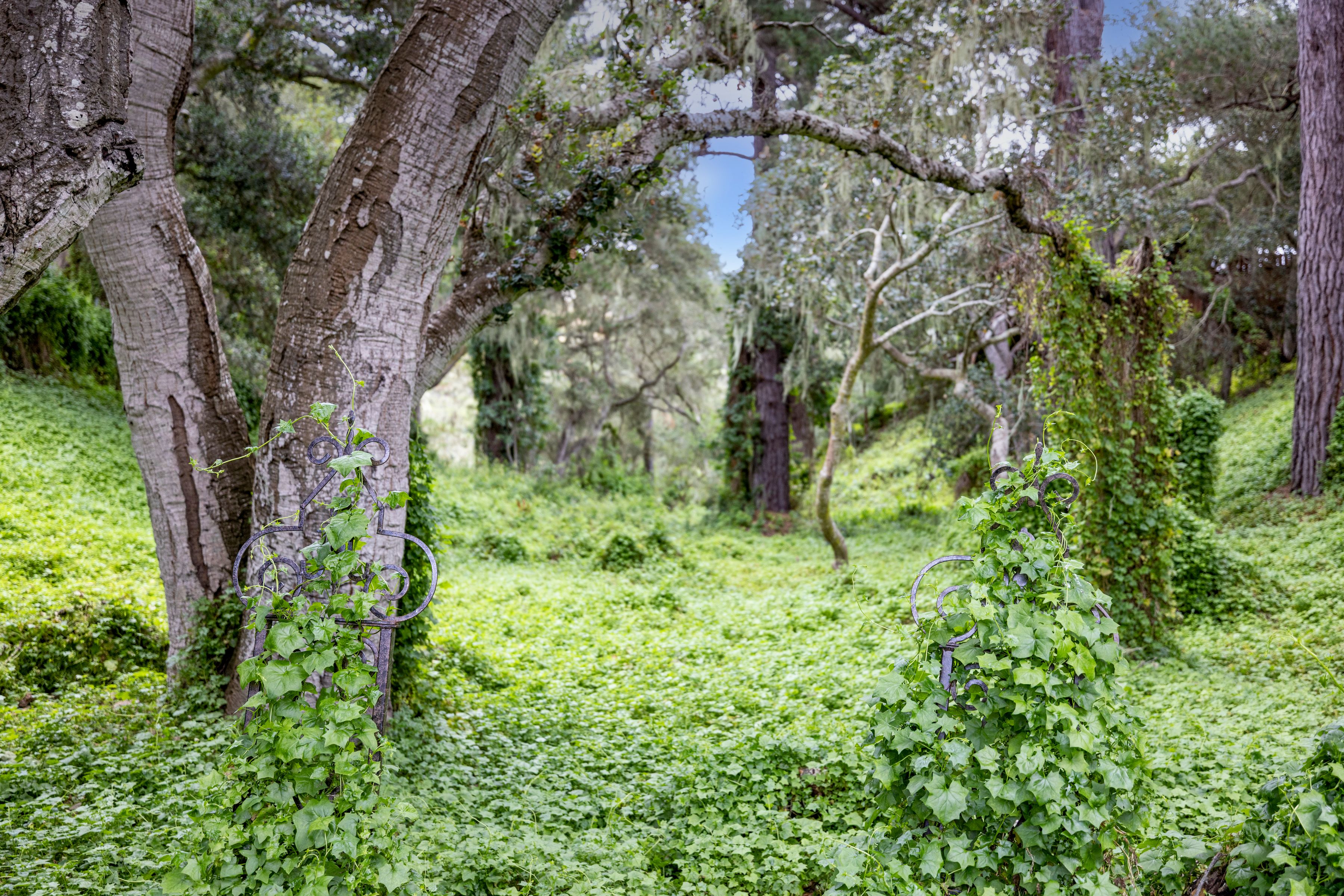  25193 Flanders Drive, Carmel - 物件實景