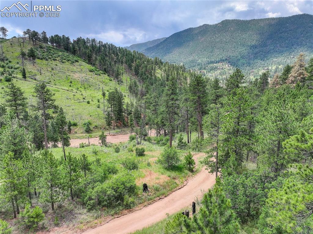 Cascade, Colorado, 80809, United States, ,Land,For Sale,1997132