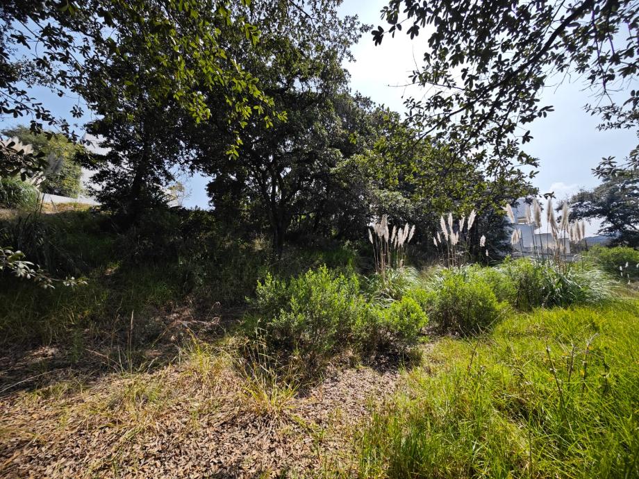 Capulines, Atizapán de Zaragoza, Estado de México, 52938, Mexico, 1 Bedroom Bedrooms, ,Residential,For Sale,Capulines,1443866