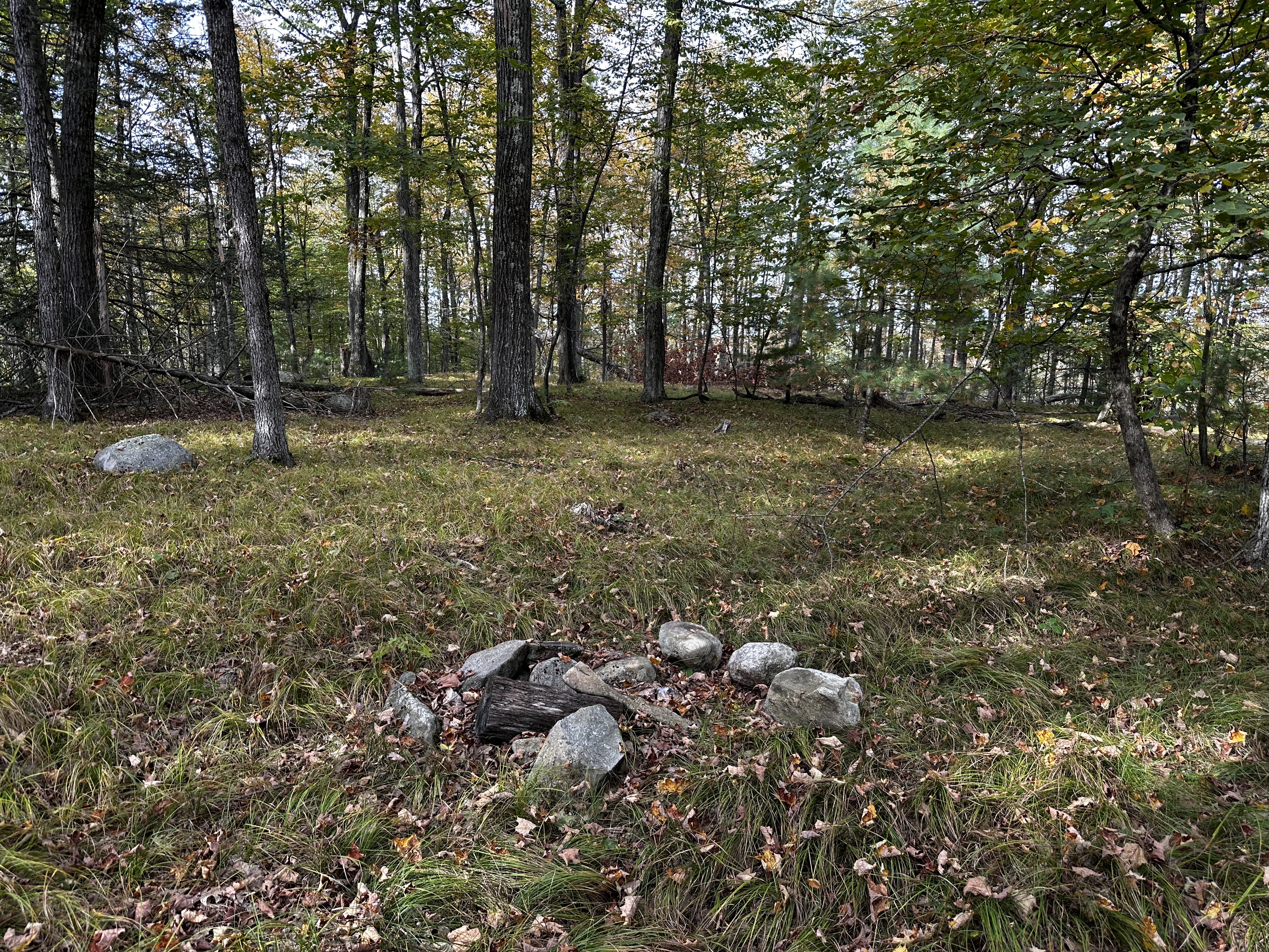  000000 Norfolk Road - 物件實景