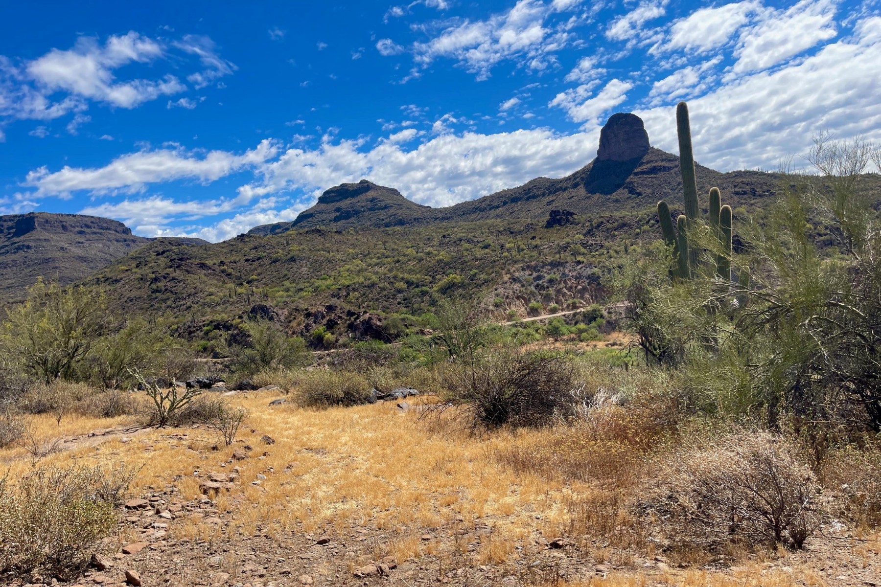  31900 S Tillys Trail¦Black Canyon City, AZ - 物件實景