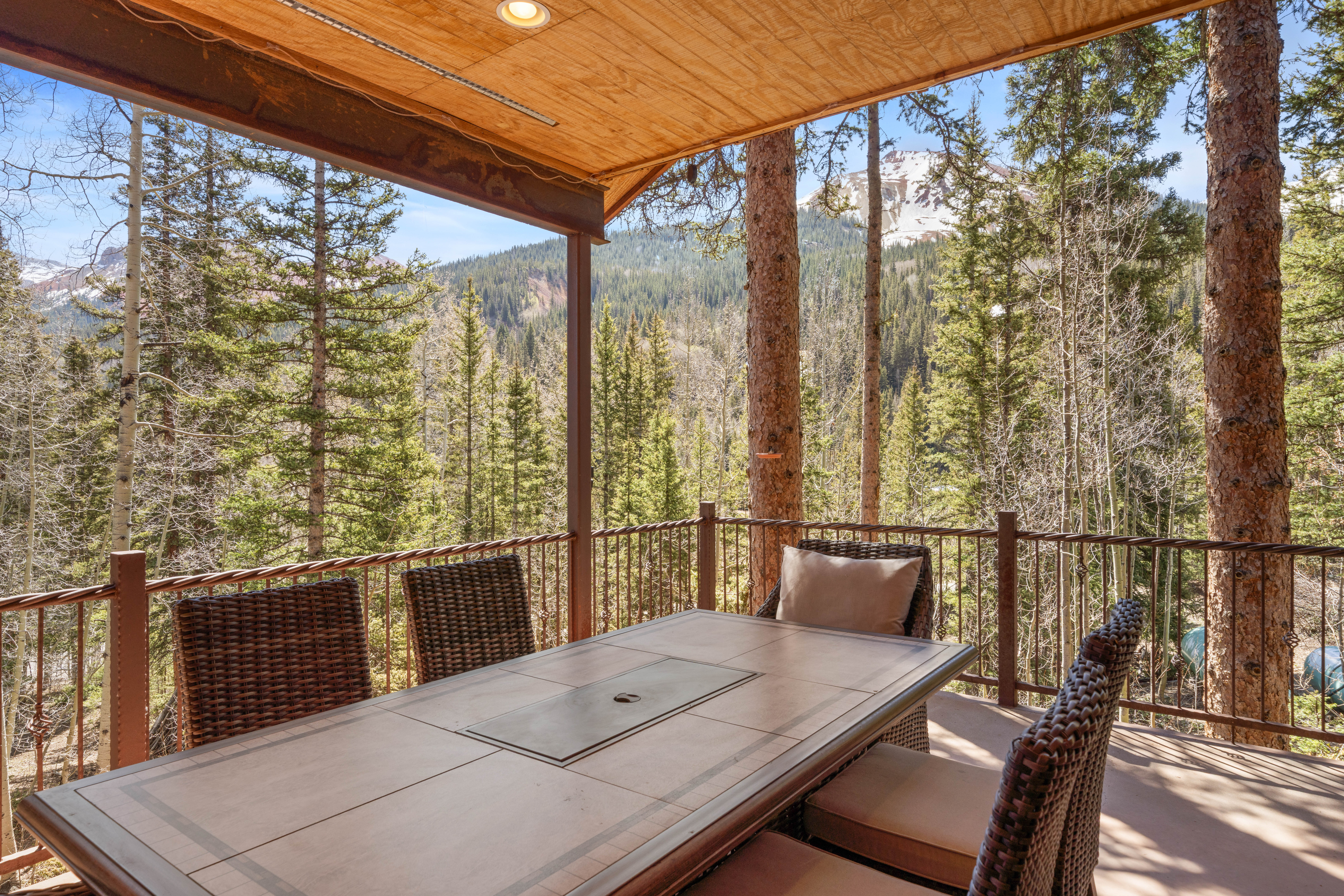  Alpine Estate with Acreage between Ouray and Silverton - 物件實景