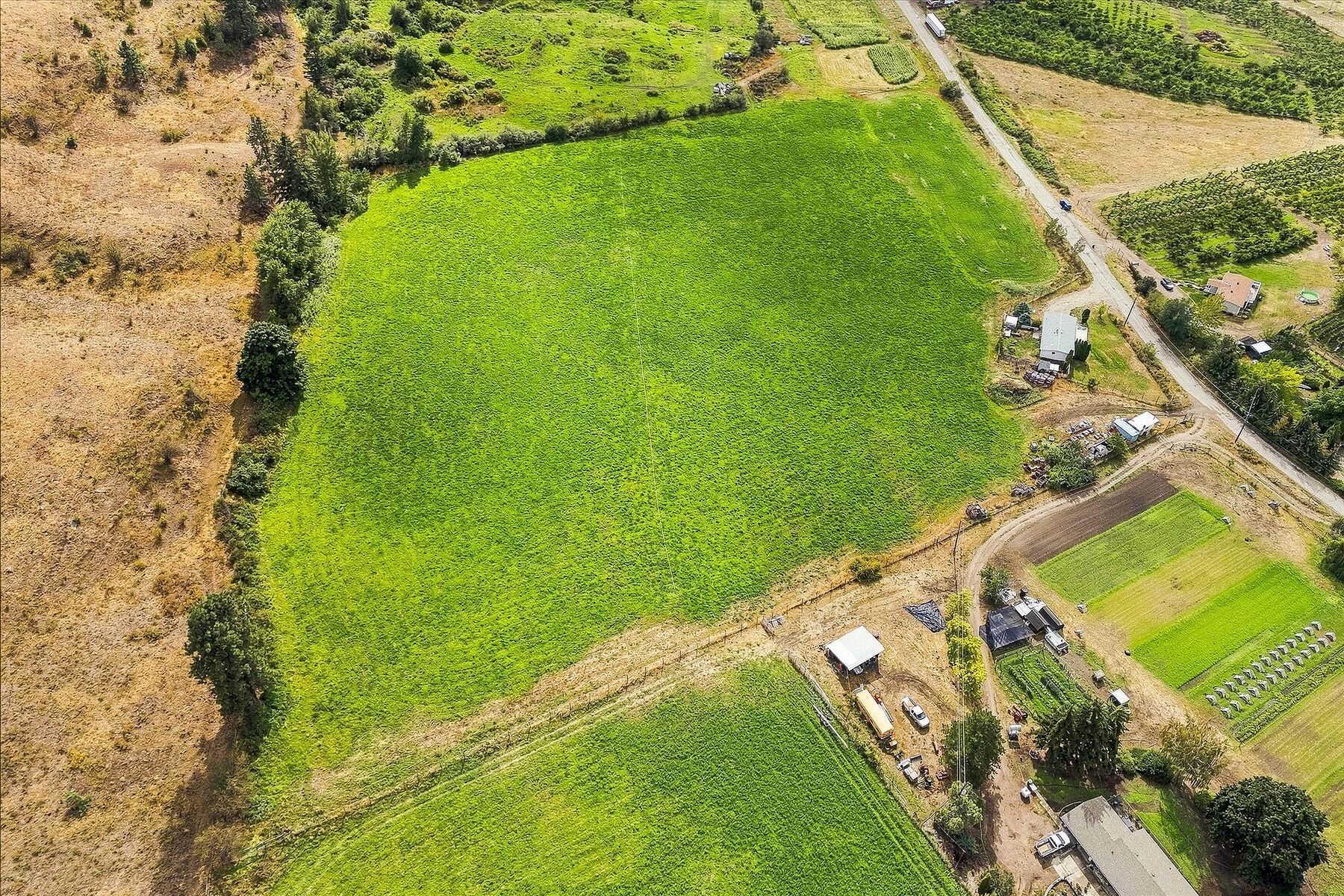  Productive Farmland in Oyama - 物件實景