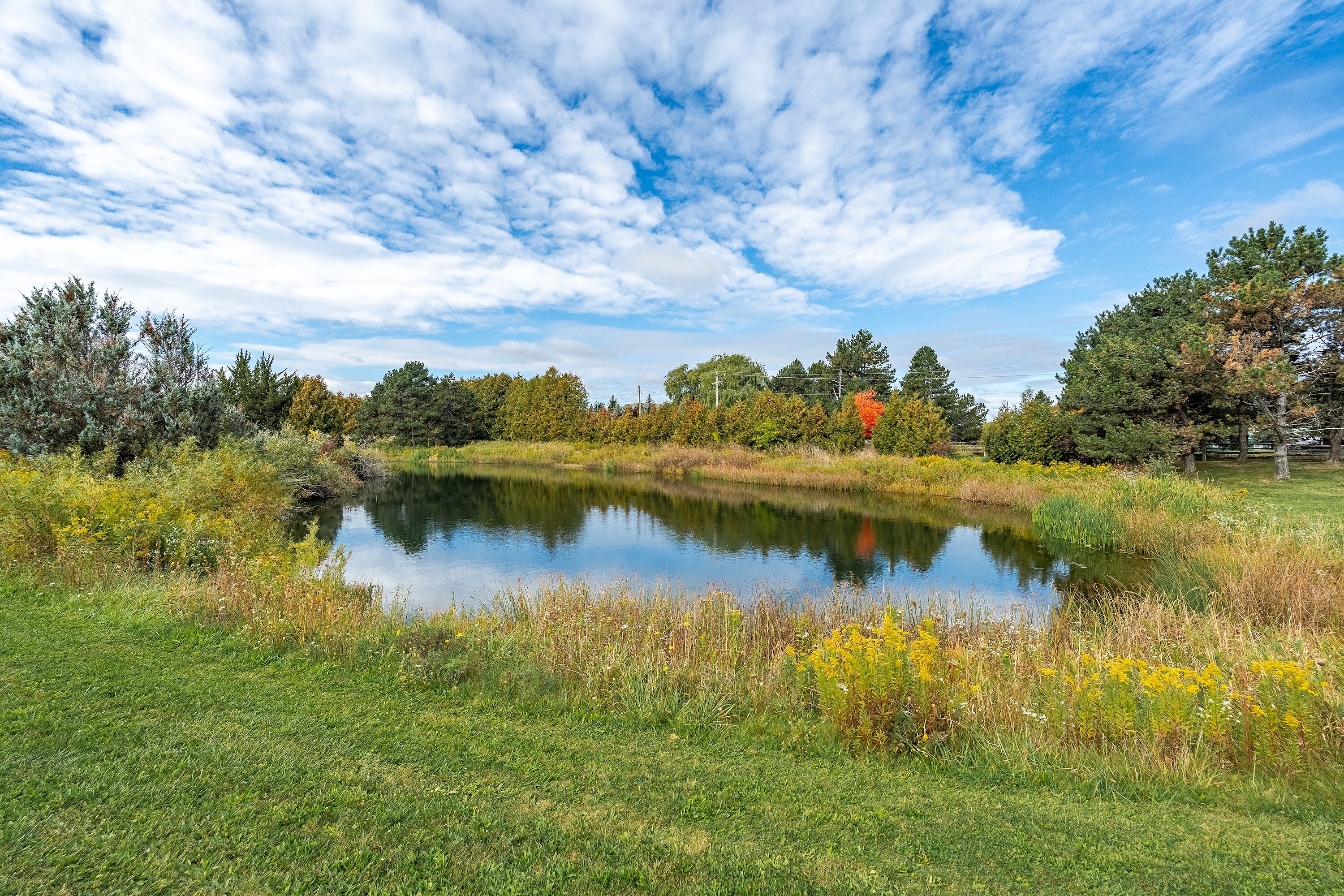  10+ Acre King Property - 物件實景