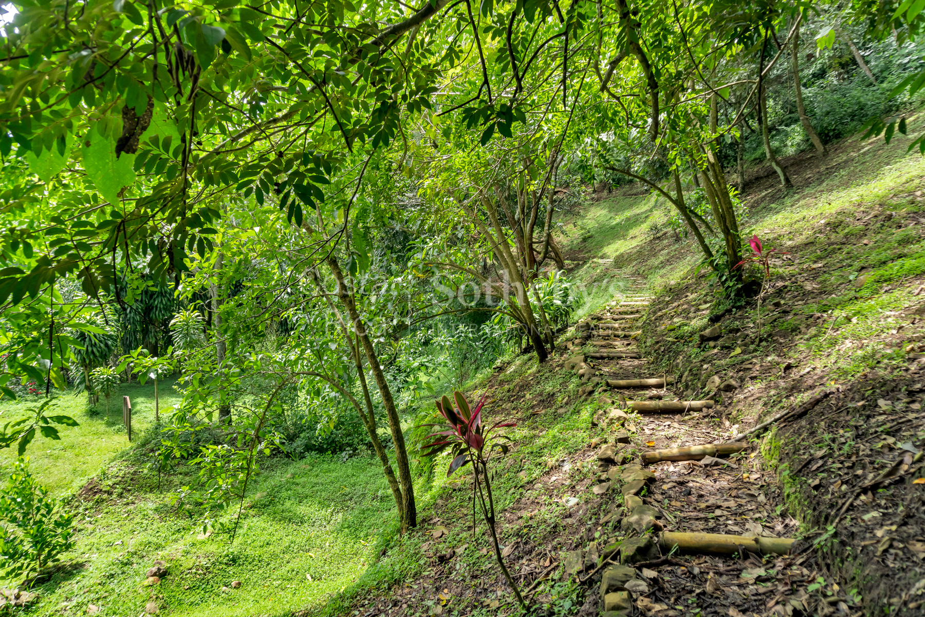  Atenas Highlands Eco Estate - 物件實景