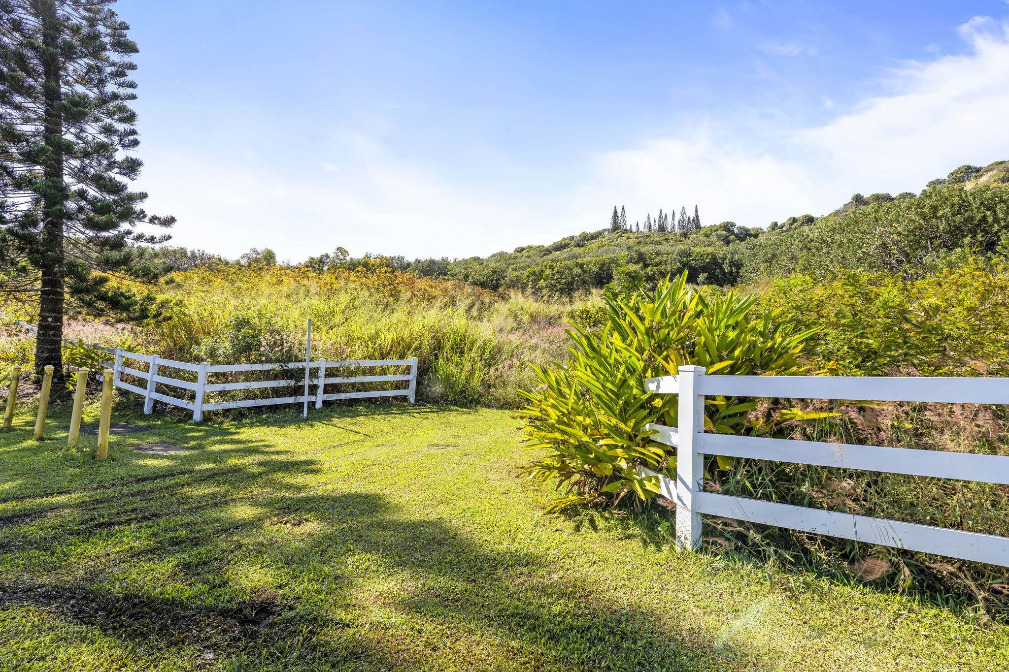 63 Lahaole Pl, Wailuku, Hawaii, 96793, United States, ,Land,For Sale,63 Lahaole Pl,1676772