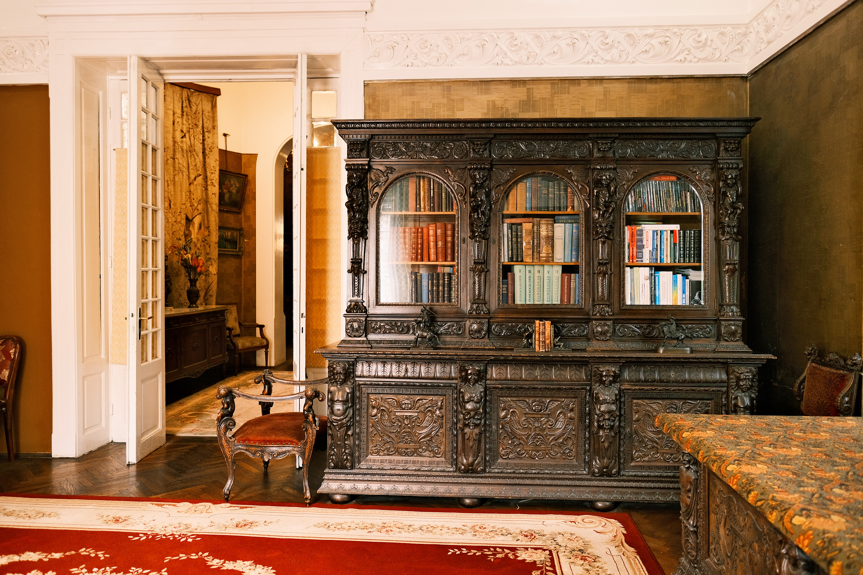  Historic Mansion with Secret Garden in the Heart of Bucharest - 物件實景