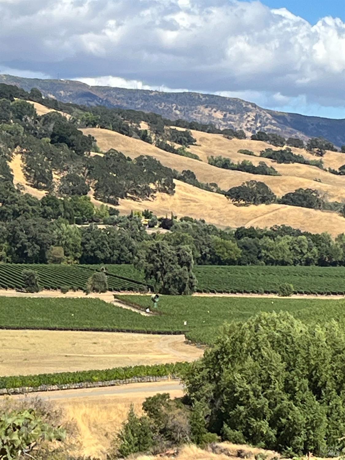 Napa, California, 94558, United States, 3 Bedrooms Bedrooms, ,3 BathroomsBathrooms,Residential,For Sale,1991897