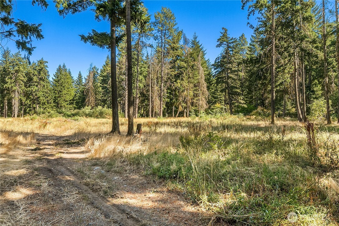 Cle Elum, Washington, 98922, United States, 1 Bedroom Bedrooms, ,1 BathroomBathrooms,Residential,For Sale,1901684