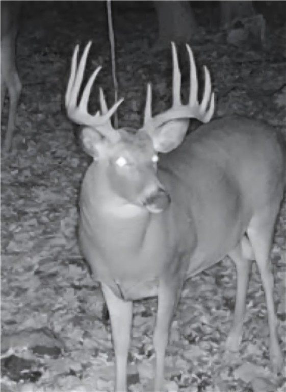 Chetek, Wisconsin, 54728, United States, 2 Bedrooms Bedrooms, ,2 BathroomsBathrooms,Residential,For Sale,1939272