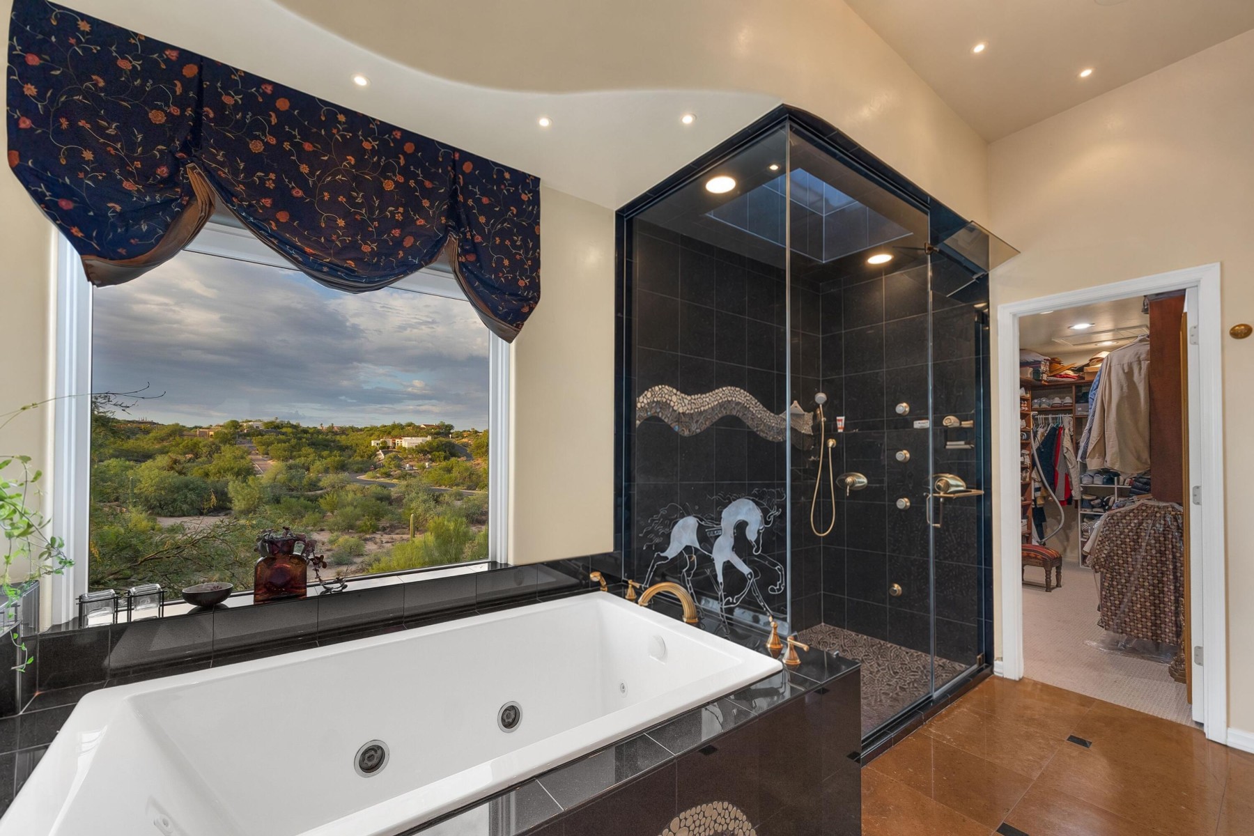  10600 N Pistachio Avenue¦Oro Valley, AZ - 物件實景
