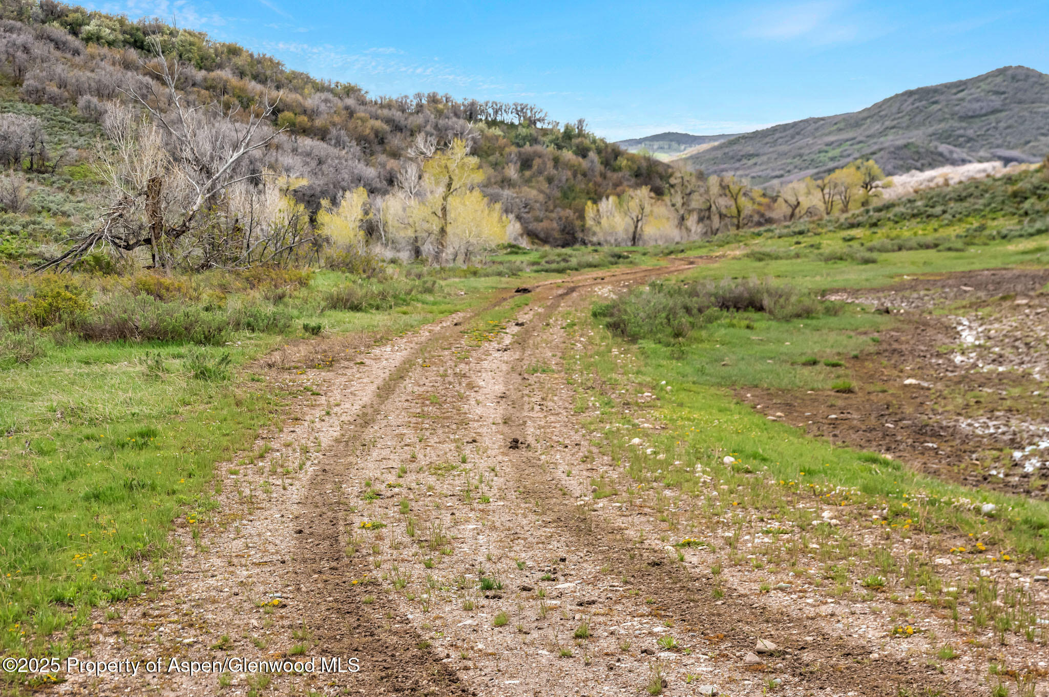 Hayden, Colorado, 81639, United States, ,Residential,For Sale,1901288