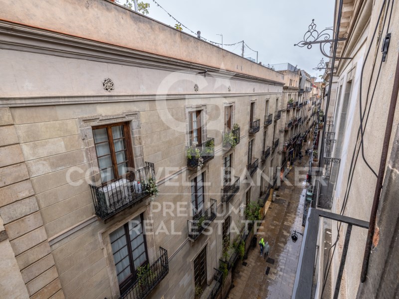 Barcelona Capital, Catalonia, ES, 4 Bedrooms Bedrooms, ,2 BathroomsBathrooms,Residential,For Sale,1752562