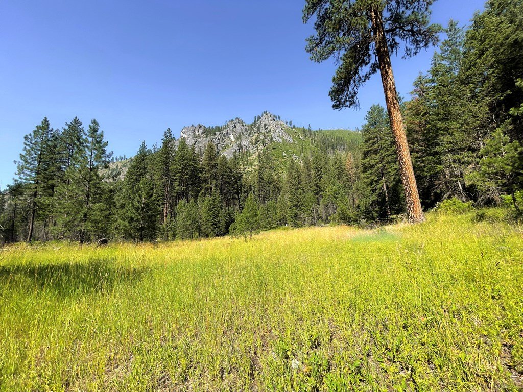 Riggins, Idaho, 83549, United States, 1 Bedroom Bedrooms, ,Residential,For Sale,1762926