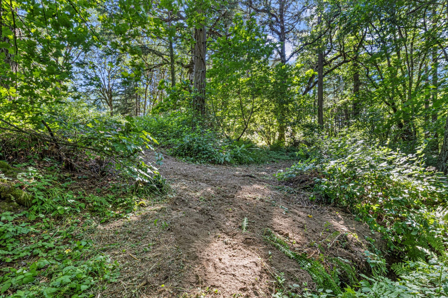  NE Santiam WAY Albany, OR 97322 - 物件實景