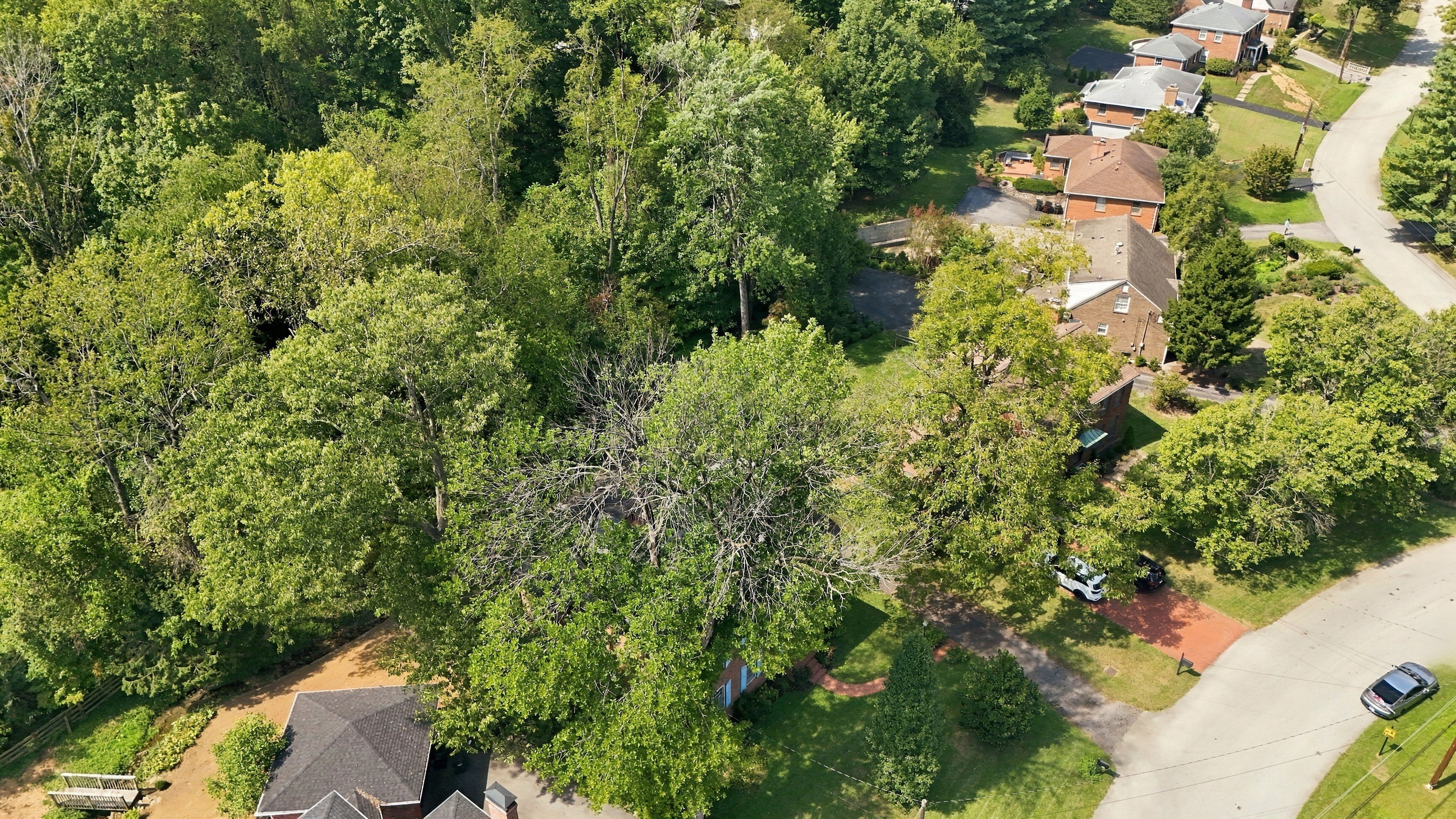  2324 Thornhill Road, Louisville, KY 40222 - 物件實景