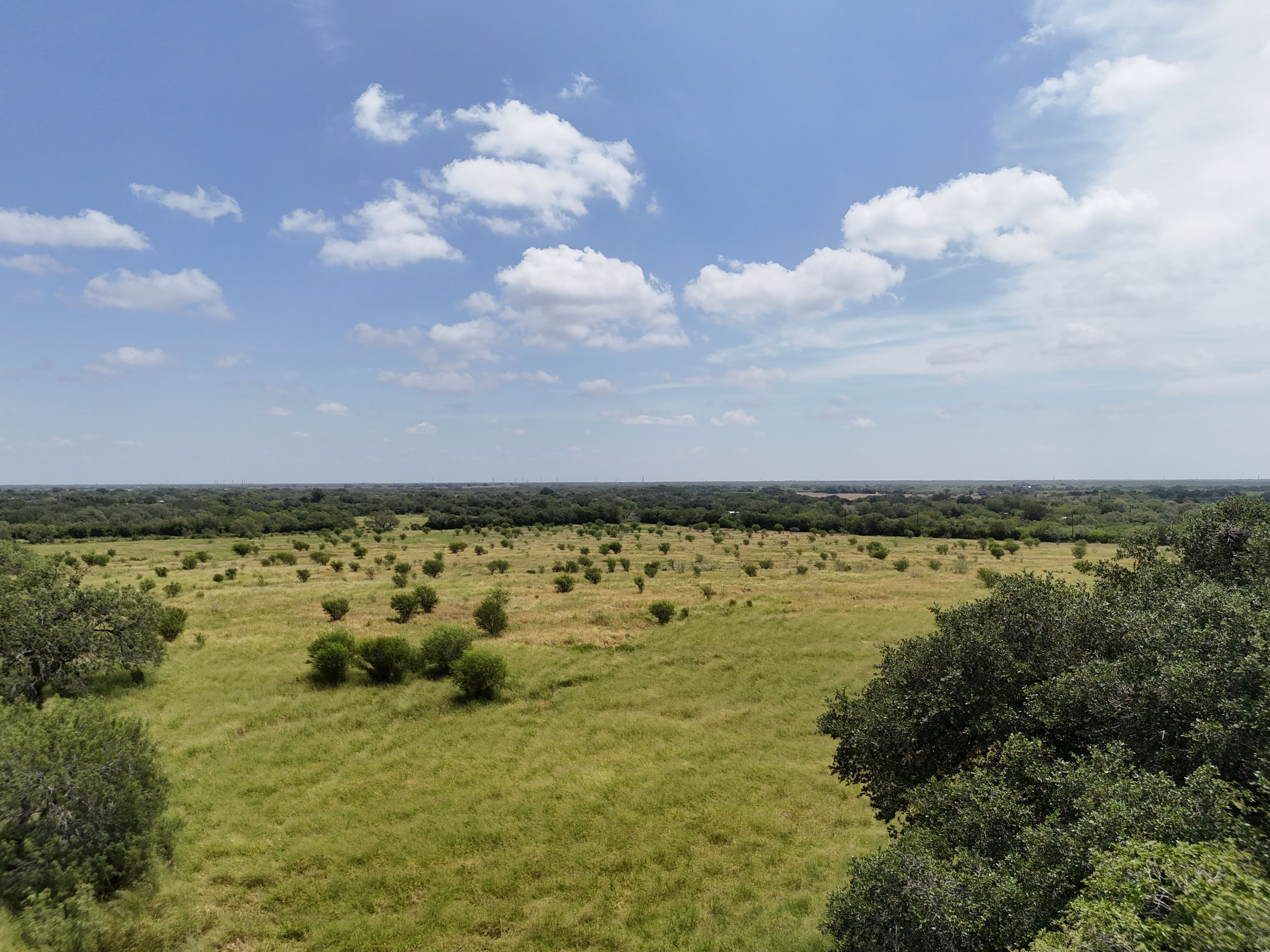  Old Houston Ranch, Bee County - 物件實景