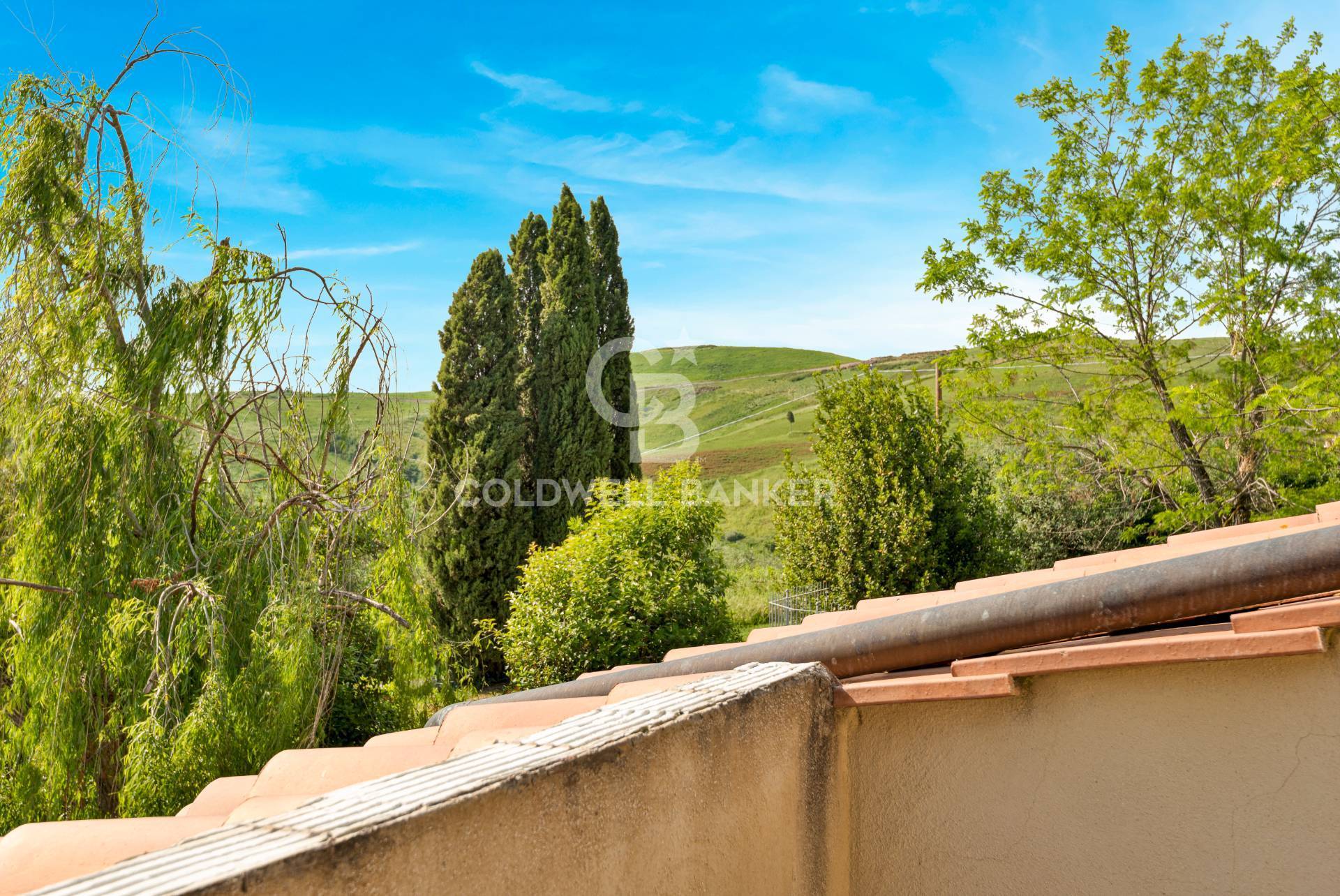 Strada Consorziale di Rioddi, Volterra, Pisa, 56048, IT, 11 Bedrooms Bedrooms, ,7 BathroomsBathrooms,Residential,For Sale,Strada Consorziale di Rioddi,1613669