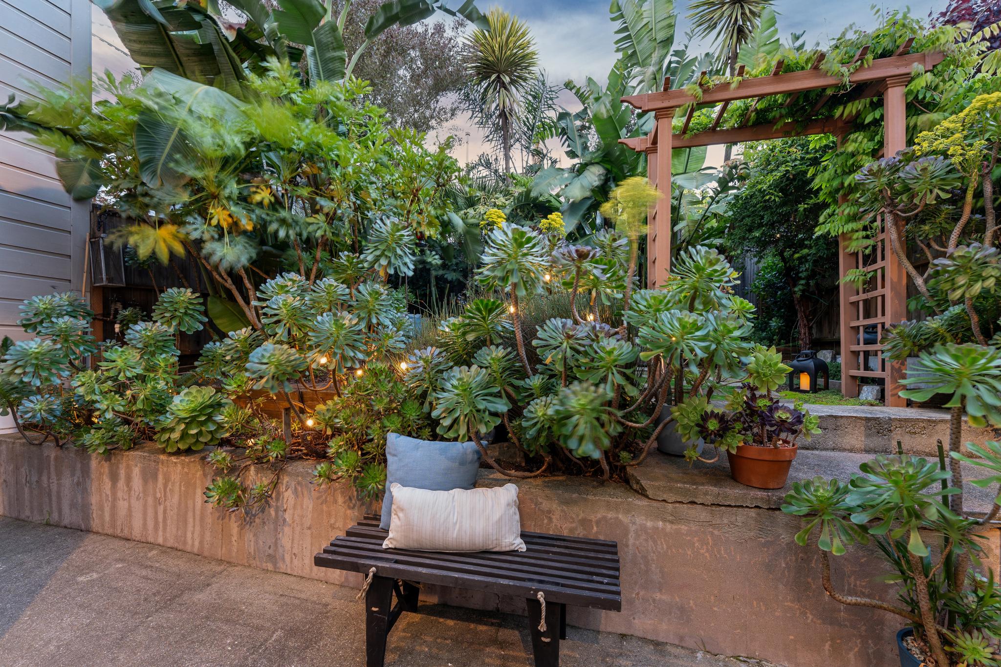  A Noe Valley Charmer - 物件實景