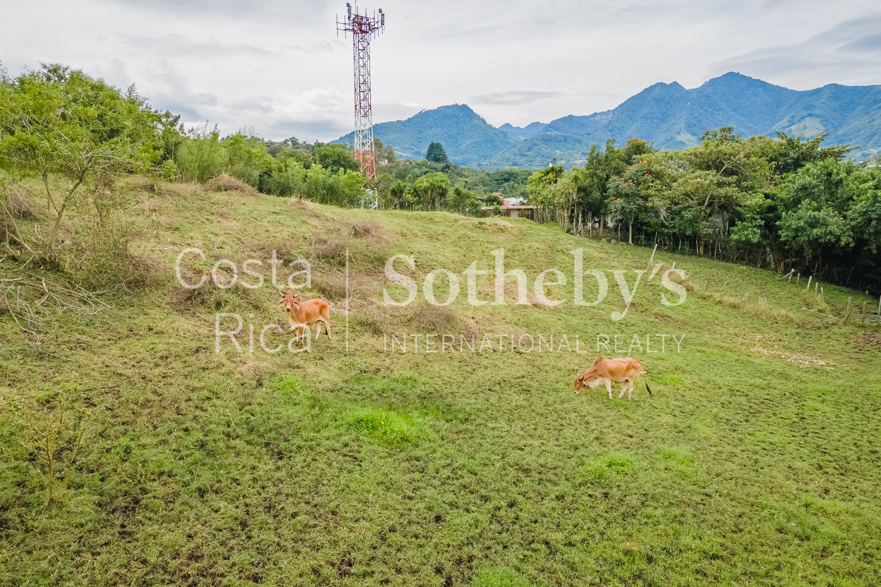  Land in San Rafael Escazú - 物件實景