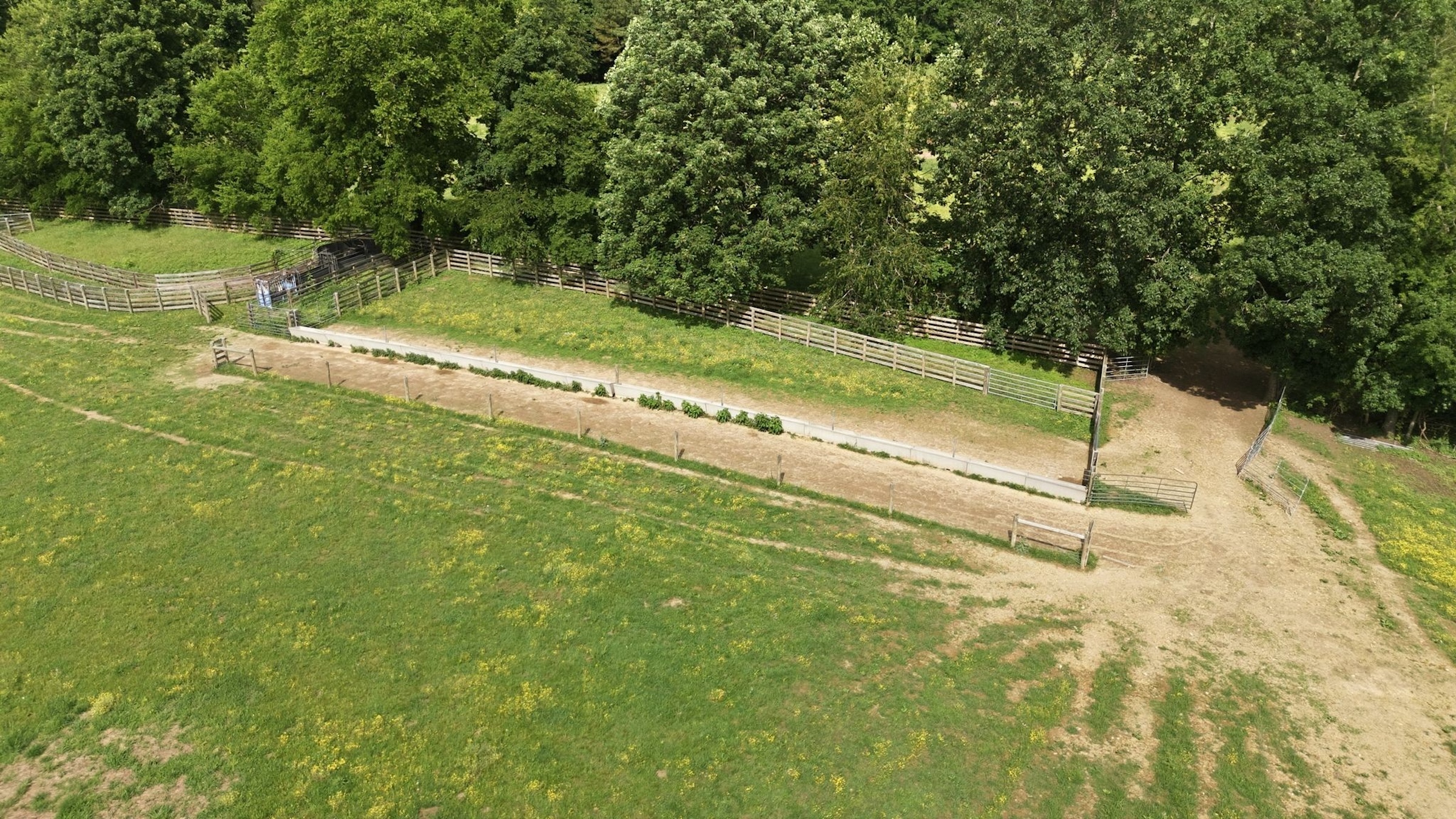  925 Sumac Rd, Pulaski, TN, 38478 - 物件實景