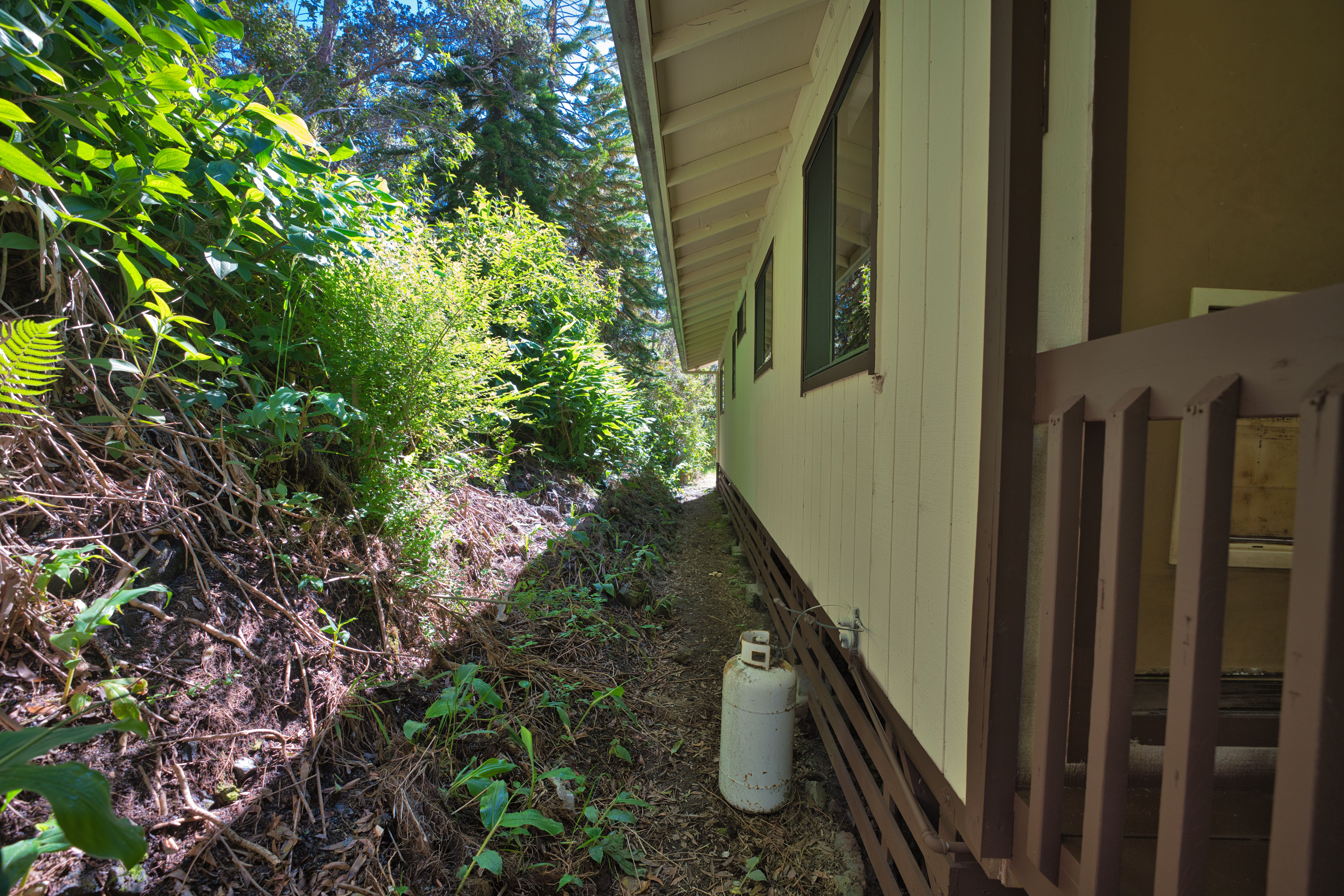  19-4159 Anuhea Circle Dr, Volcano, HI, 96785 - 物件實景