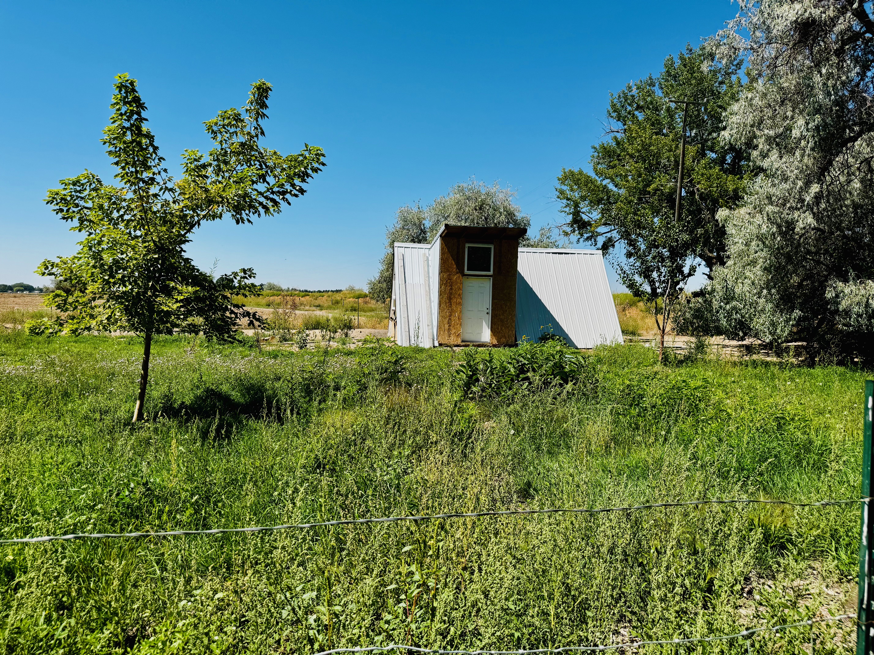 Rupert, Idaho, 83350, United States, 6 Bedrooms Bedrooms, ,2 BathroomsBathrooms,Residential,For Sale,1938225