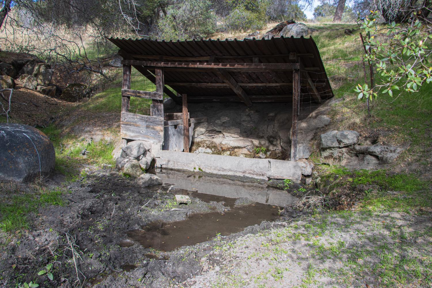Coarsegold, California, 93614, United States, ,Residential,For Sale,2006211
