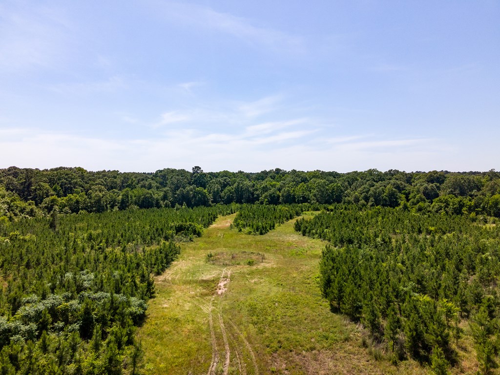 Pollok, Texas, 75969, United States, ,Residential,For Sale,1928088