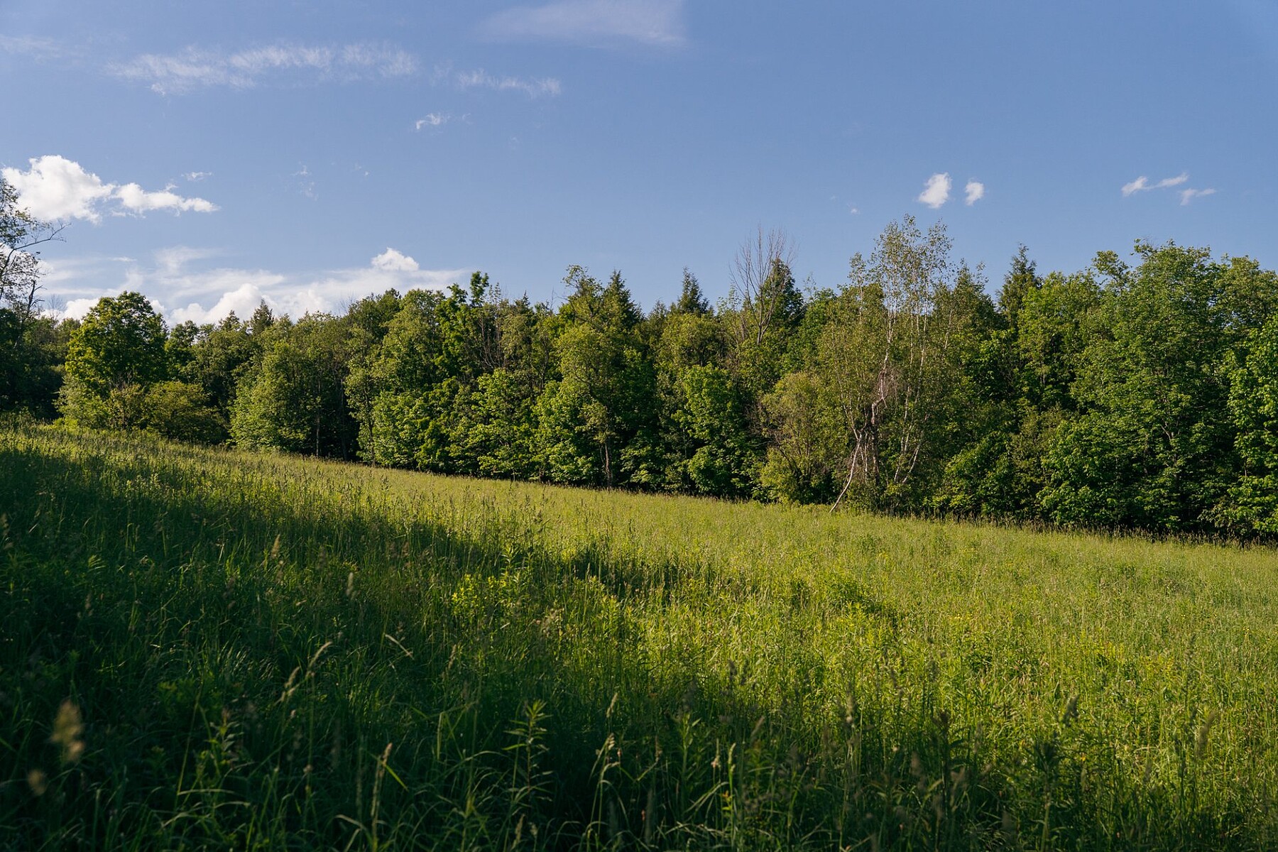 Sutton, Eastern Townships - 物件實景