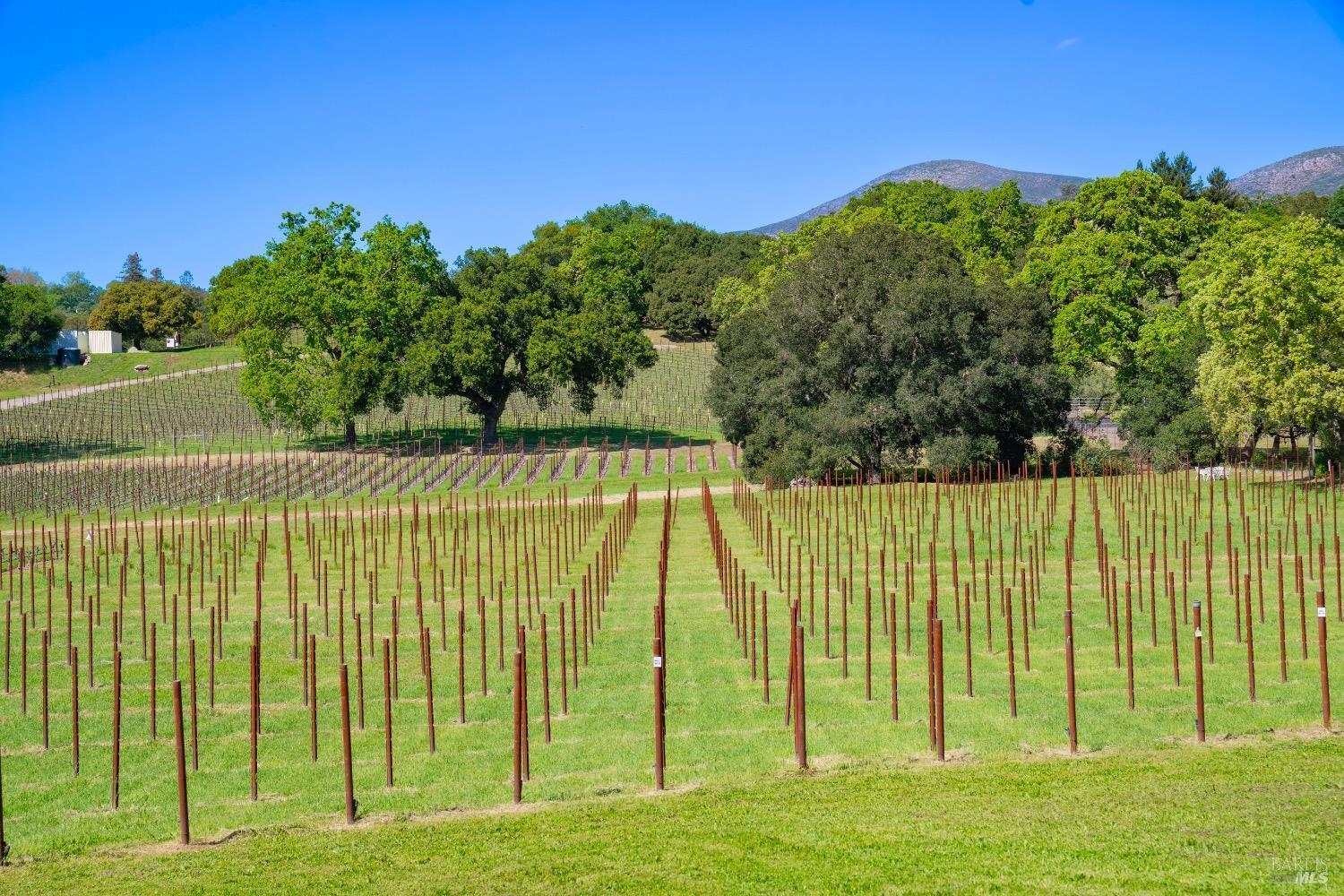 Napa, California, 94558, United States, 4 Bedrooms Bedrooms, ,2 BathroomsBathrooms,Residential,For Sale,1793717