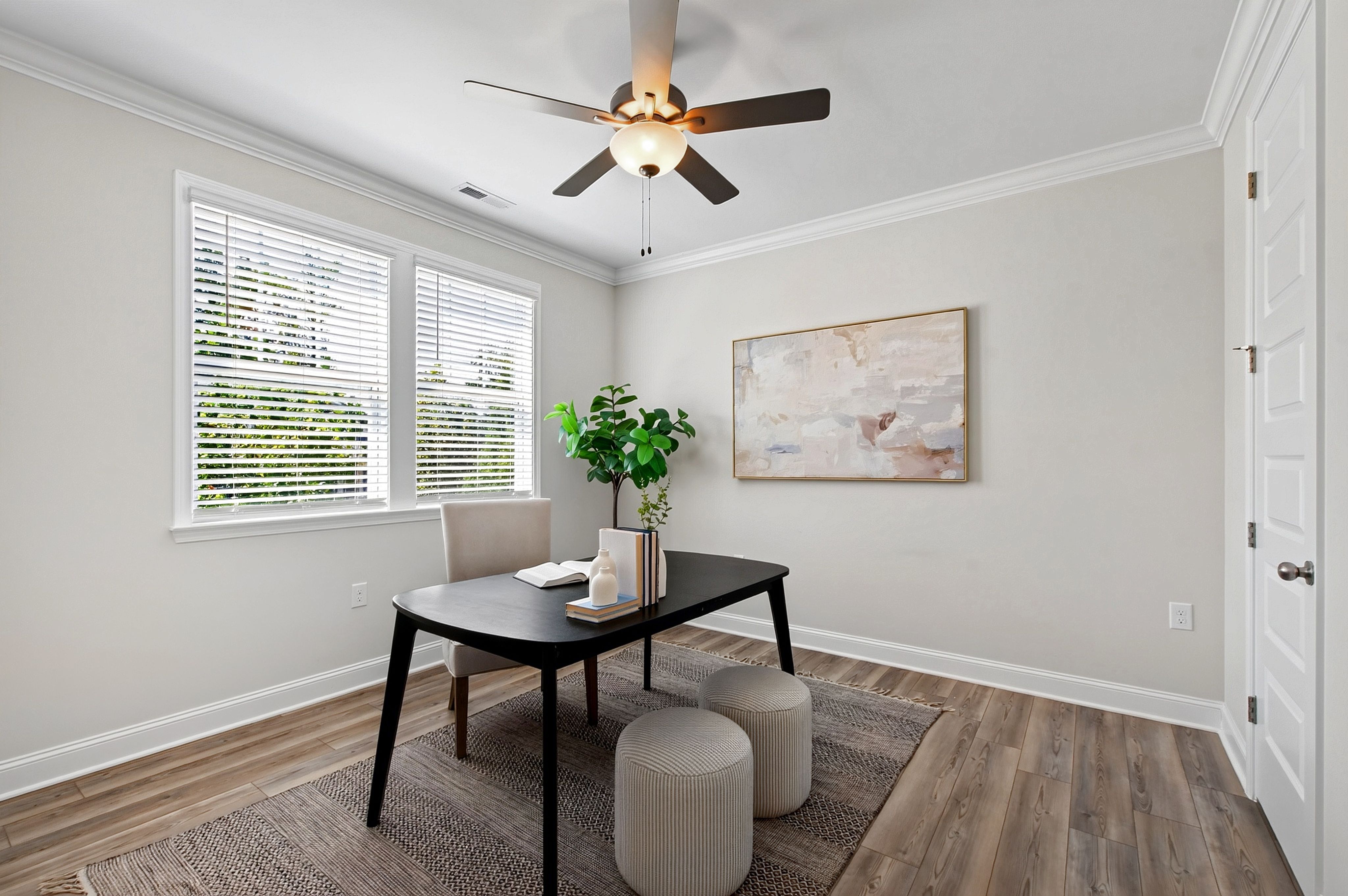  1300 Commons Ford Place, Apex, NC 27539 - 物件實景