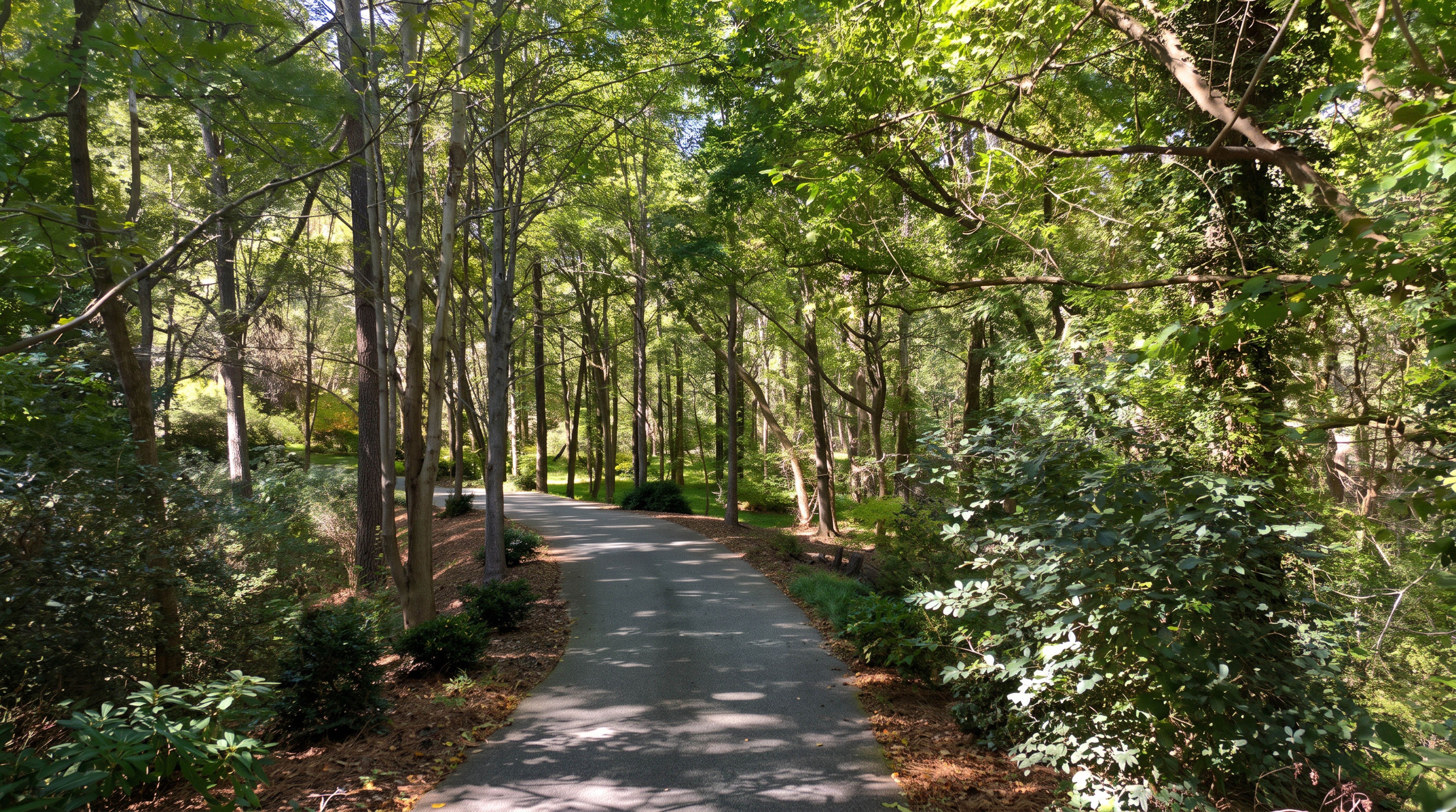  2845 Claremont Road, Raleigh, NC 27608 - 物件實景