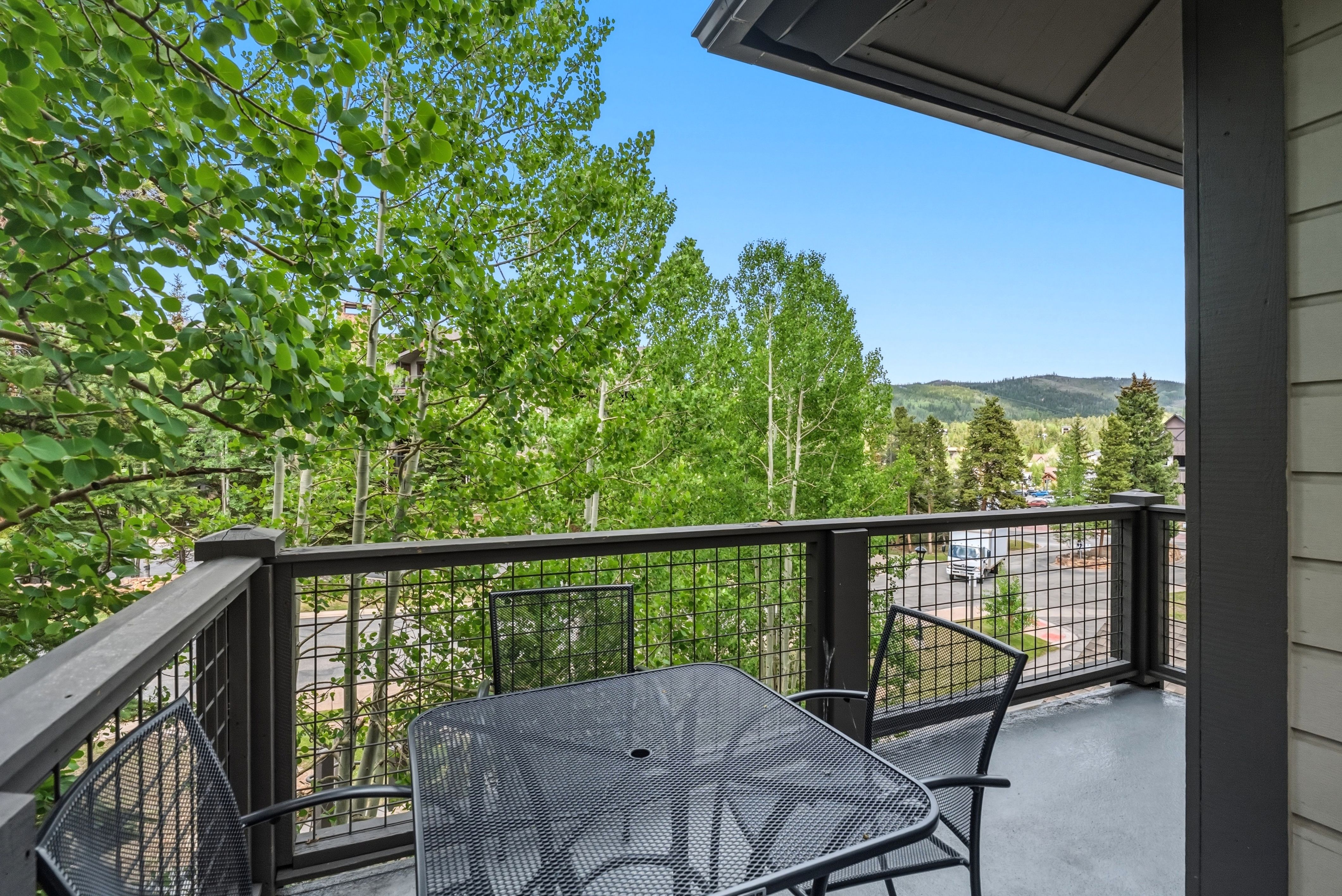  35 Mountain Thunder Drive, Breckenridge, CO, 80424 - 物件實景