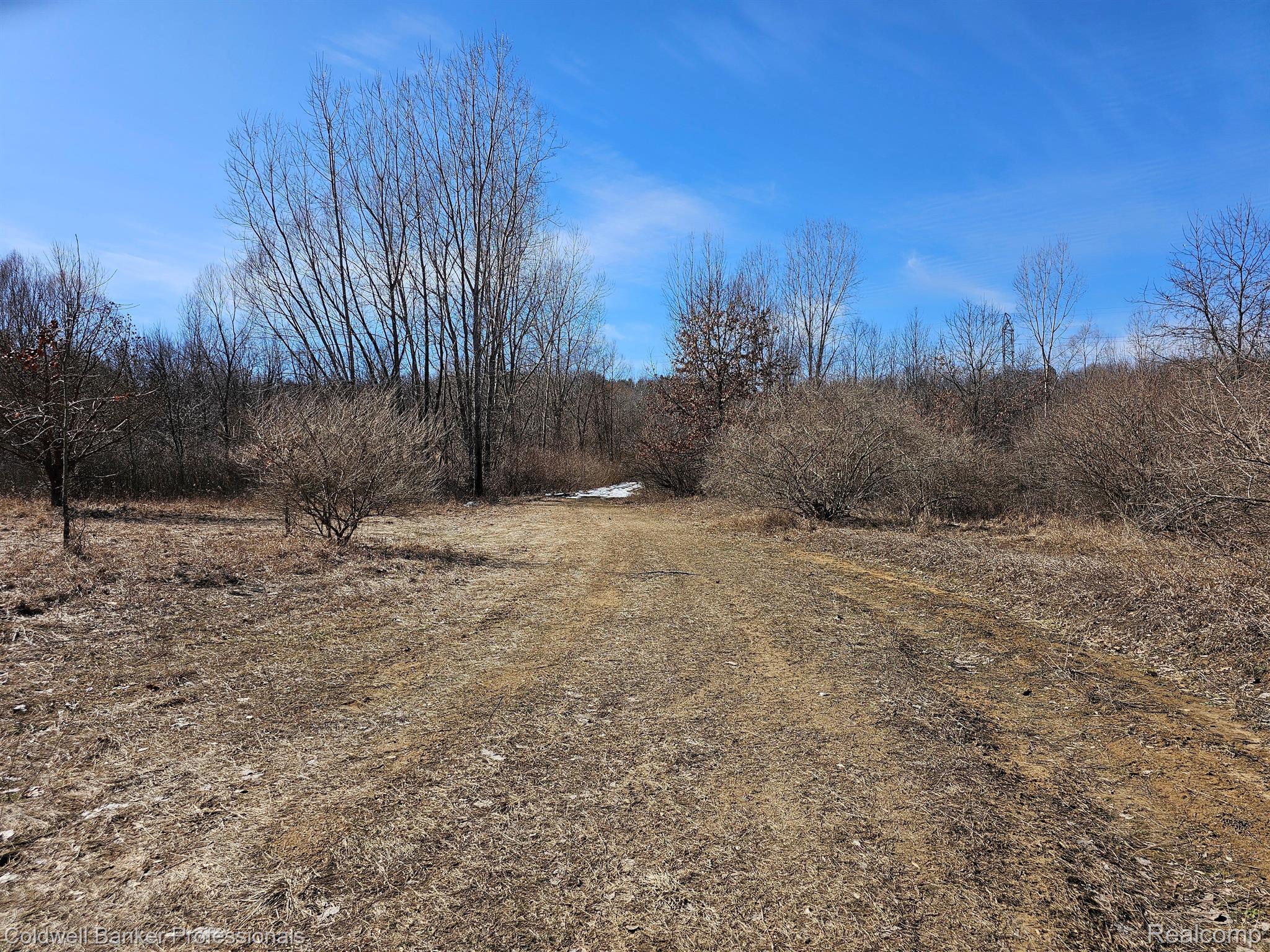 Metamora, Michigan, 48455, United States, ,Land,For Sale,1736755