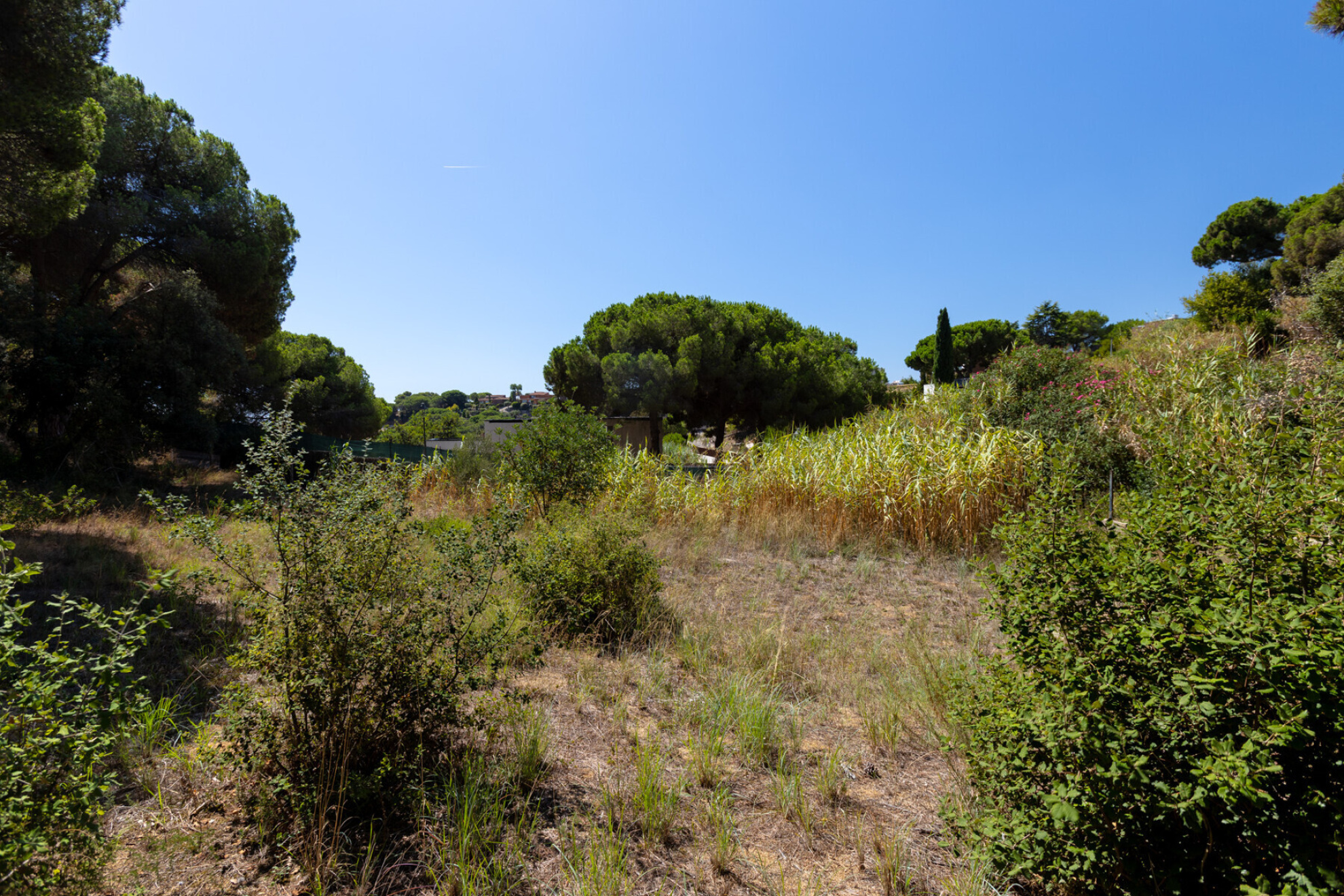  Two adjoining plots in Rocaferrera, Sant Andreu de Llavaneres - Costa BCN - 物件實景