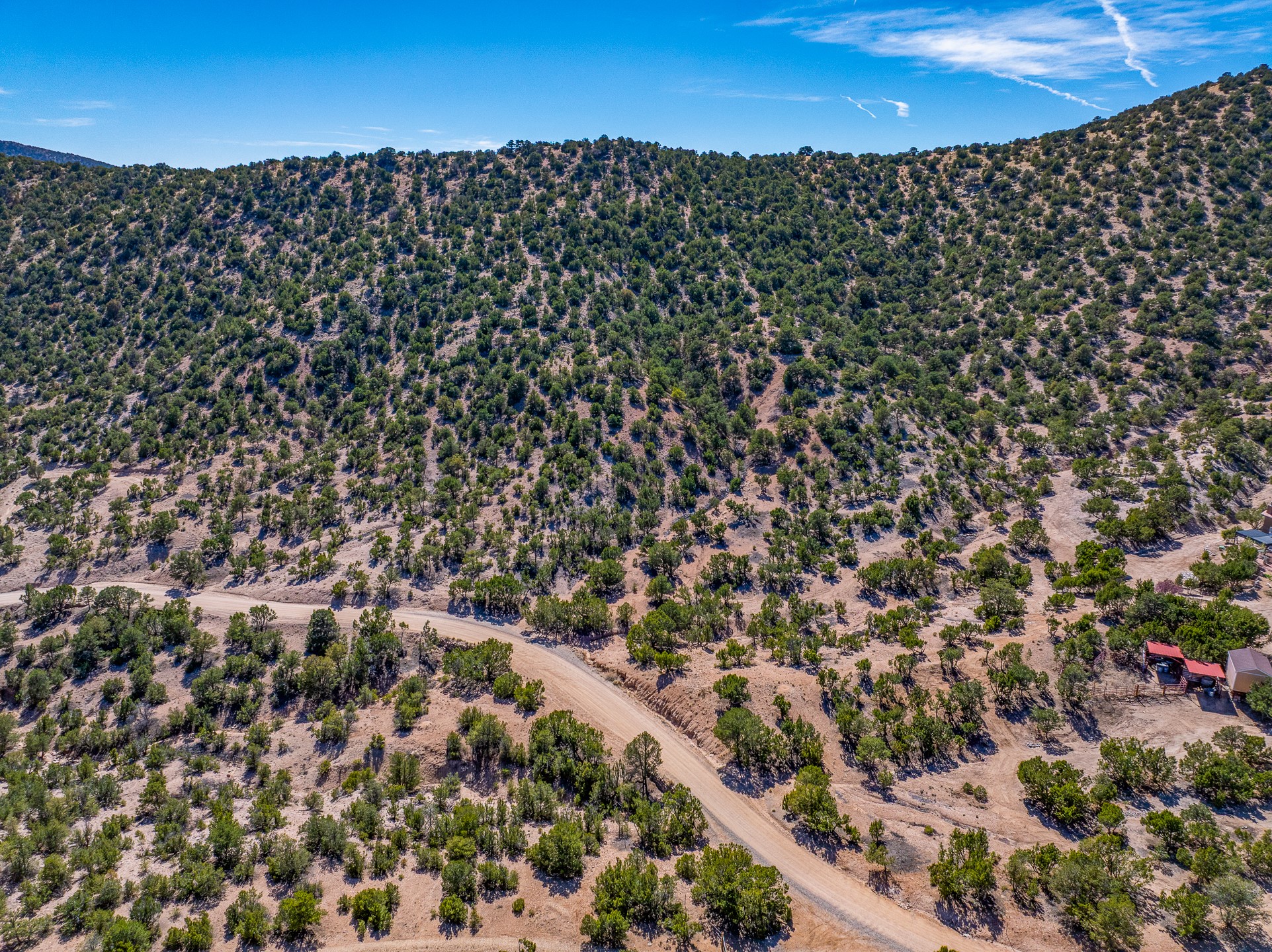  5.9 Acre Lot Camino Del Canon - 物件實景