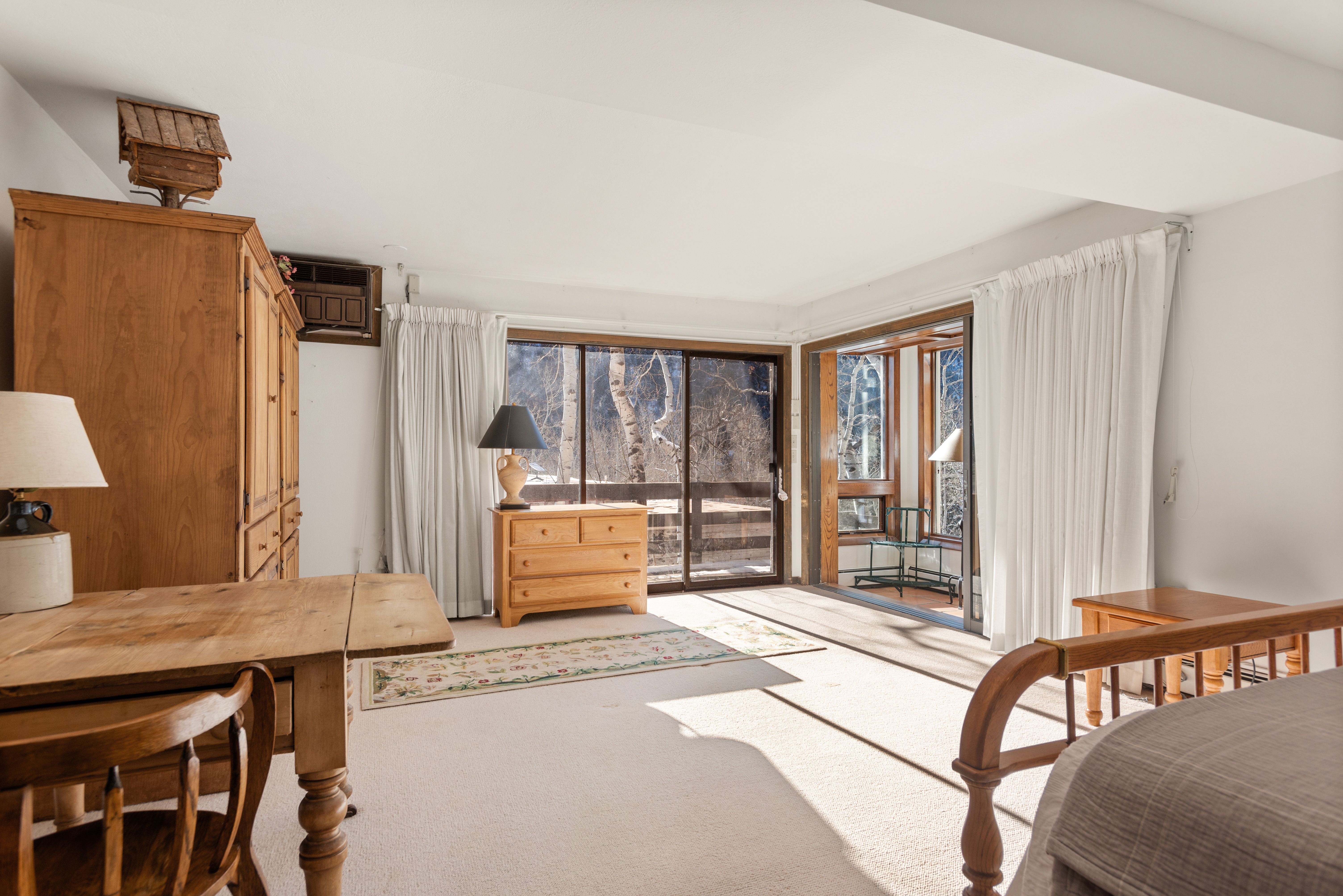  246 Roaring Fork Drive, Aspen, CO, 81611 - 物件實景