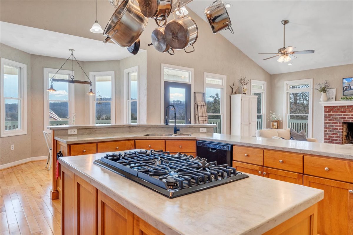 Buchanan, Virginia, 24066, United States, 5 Bedrooms Bedrooms, ,4 BathroomsBathrooms,Residential,For Sale,1900741