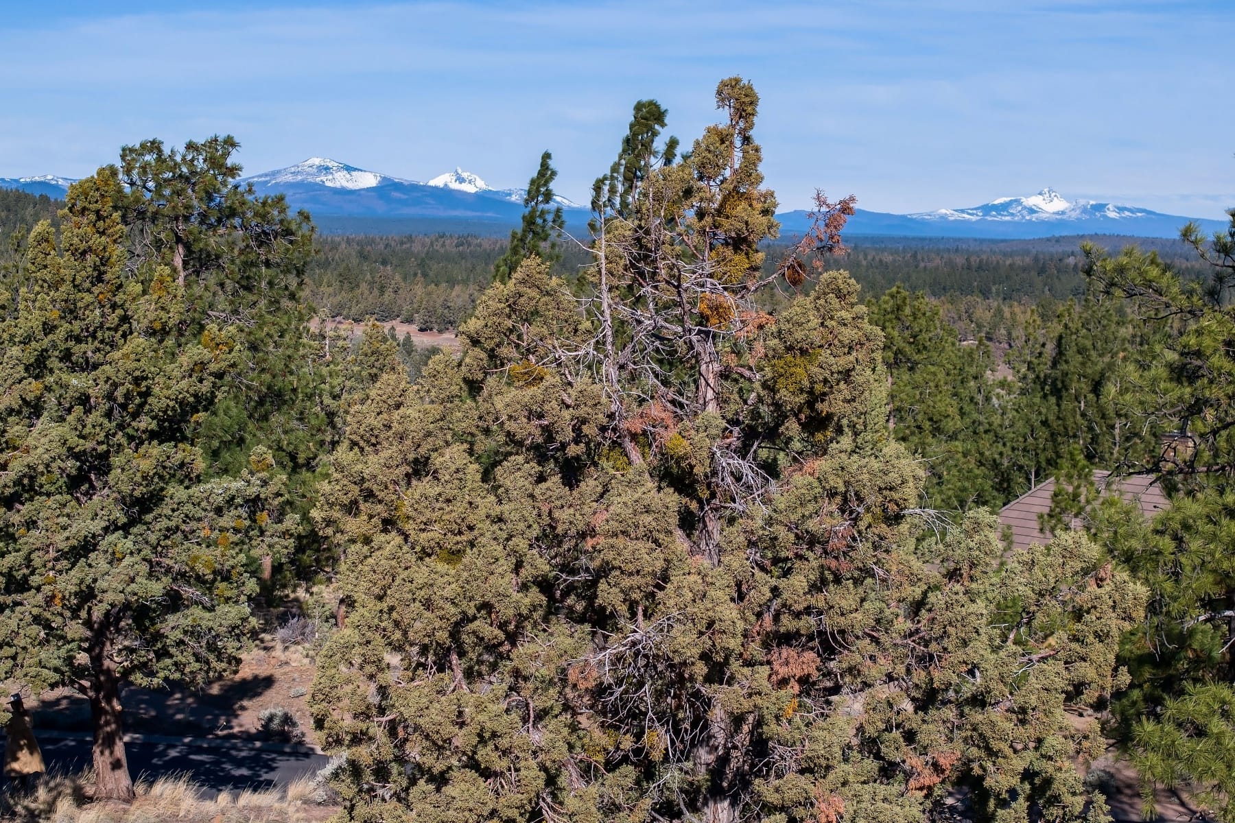  3380 NW Greenleaf Way Bend, OR 97703 - 物件實景