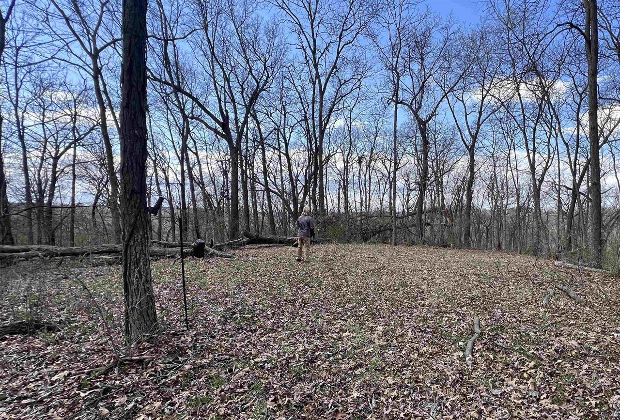 Mount Sterling, Wisconsin, 54645, United States, 1 Bedroom Bedrooms, ,Residential,For Sale,1975253