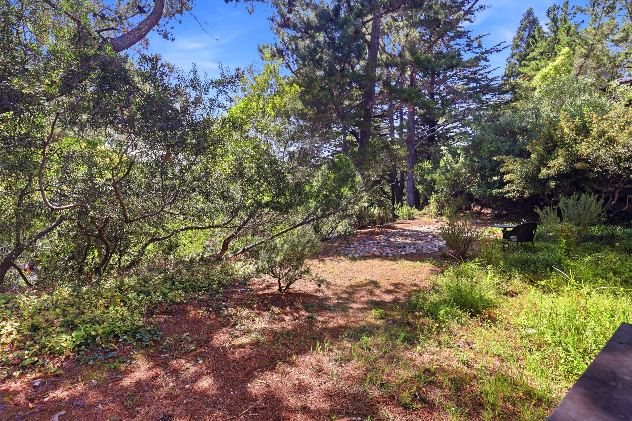  3336 Brittan Ave Unit 2 - 物件實景