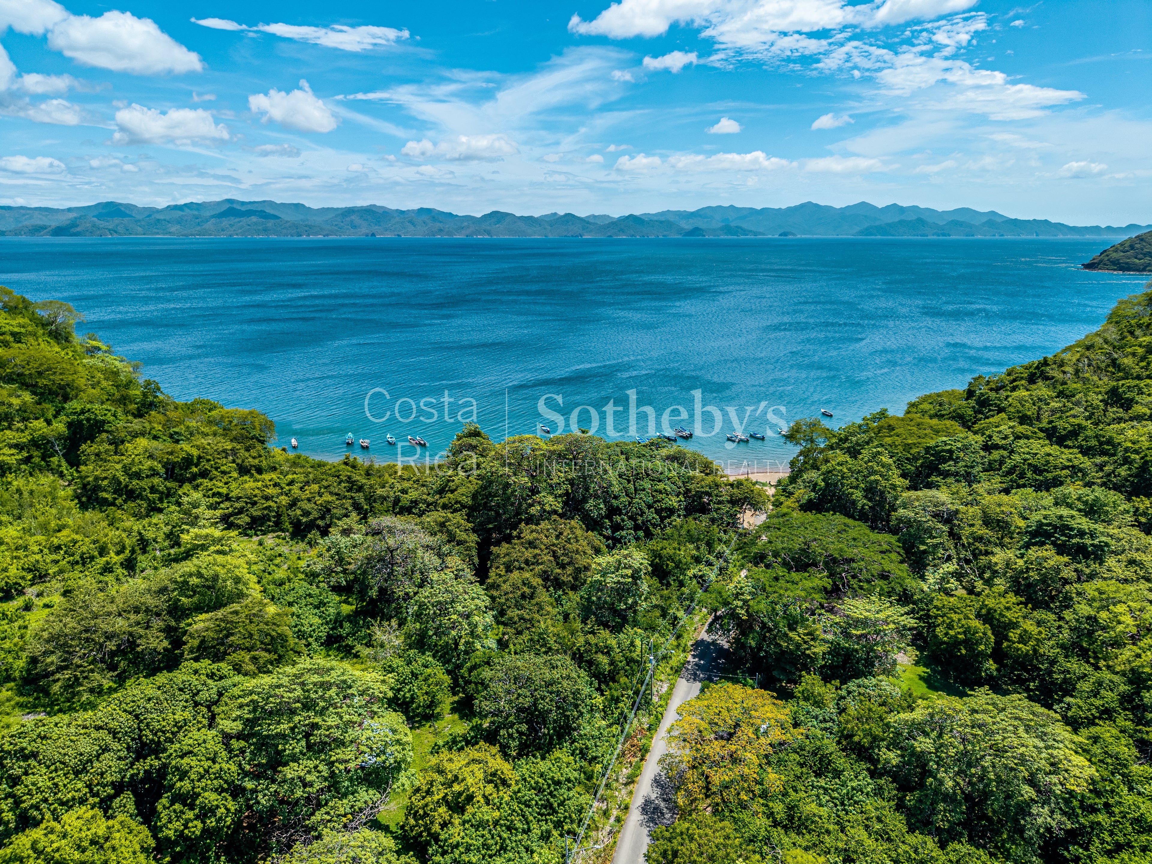  The Cove - 物件實景
