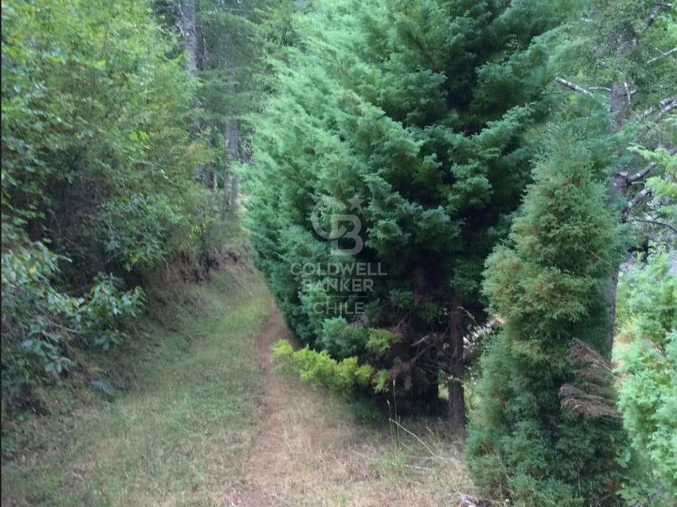 Panguipulli, Chile, 4 Bedrooms Bedrooms, ,2 BathroomsBathrooms,Land,For Sale,1932436